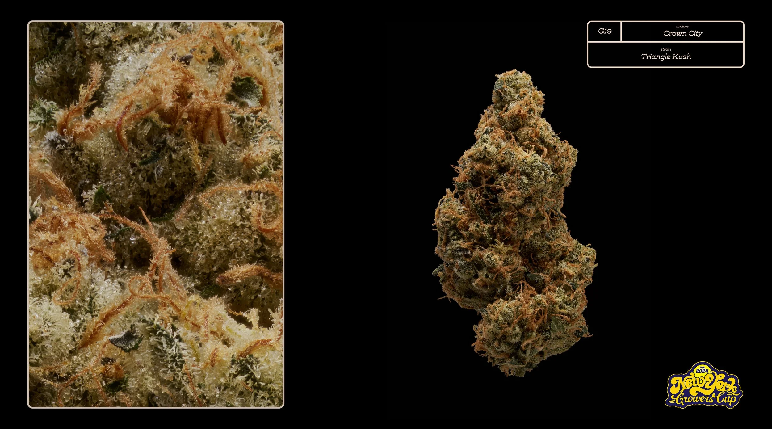 2024_NYGC_Slideshow-Entries_G19_ Crown City – “Triangle Kush”%0A.jpg