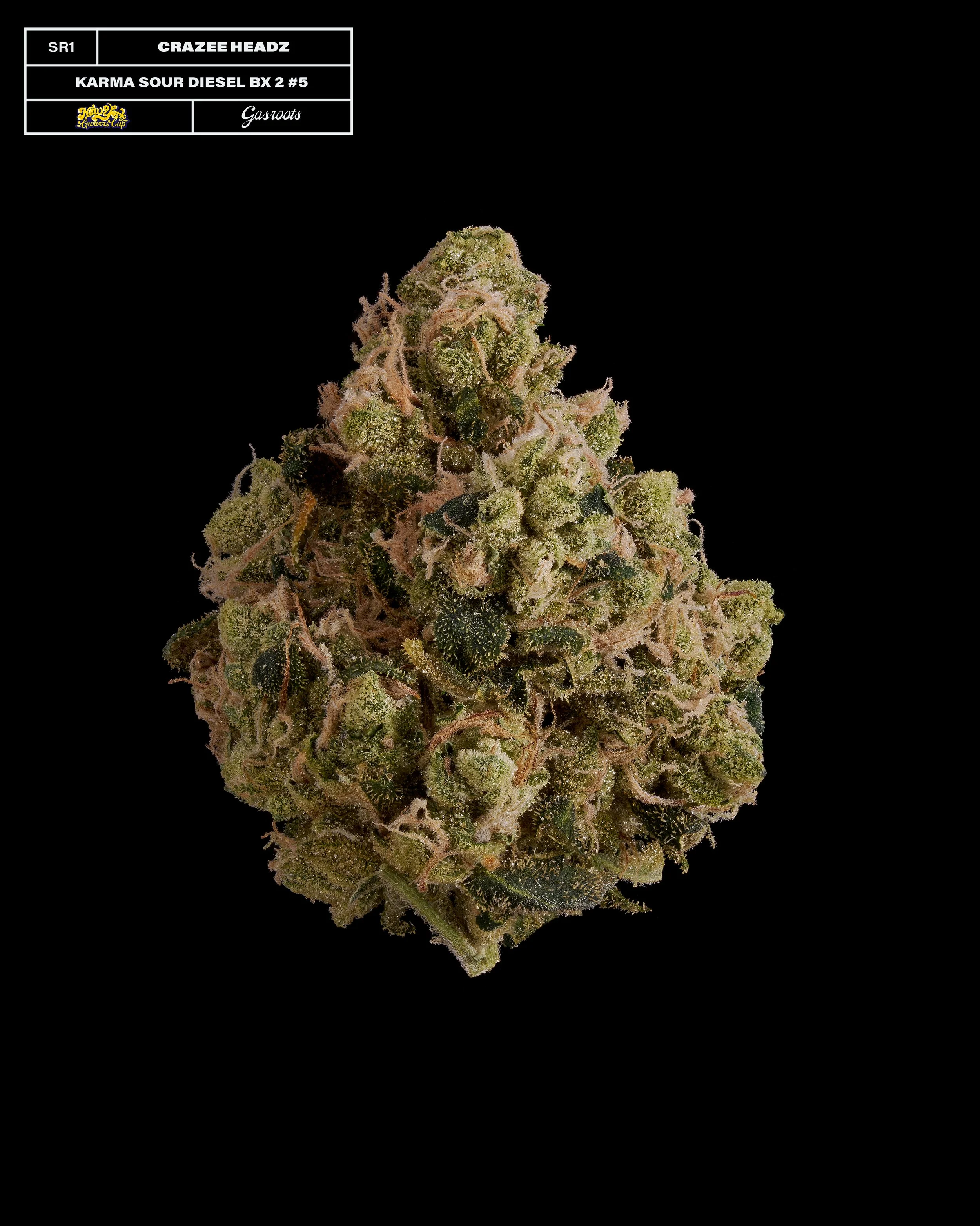 20231104_Gasroots_NYGrowersCup_SR1_CrazeeHeadz_KarmaSourDiesel_Infographic.jpg