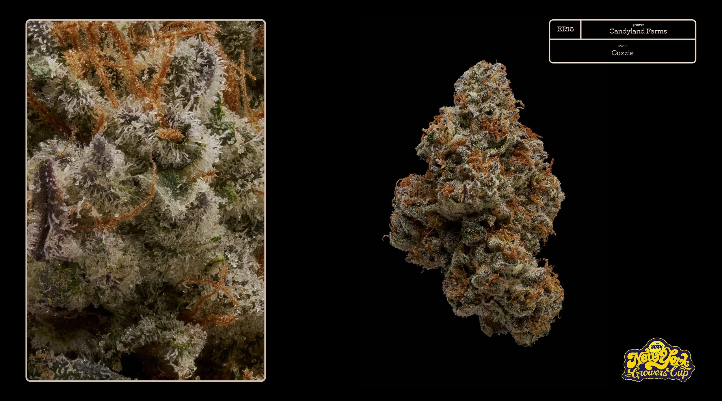 2024_NYGC_Slideshow-Entries_ER16_ Candyland Farms – “Cuzzie” .jpg