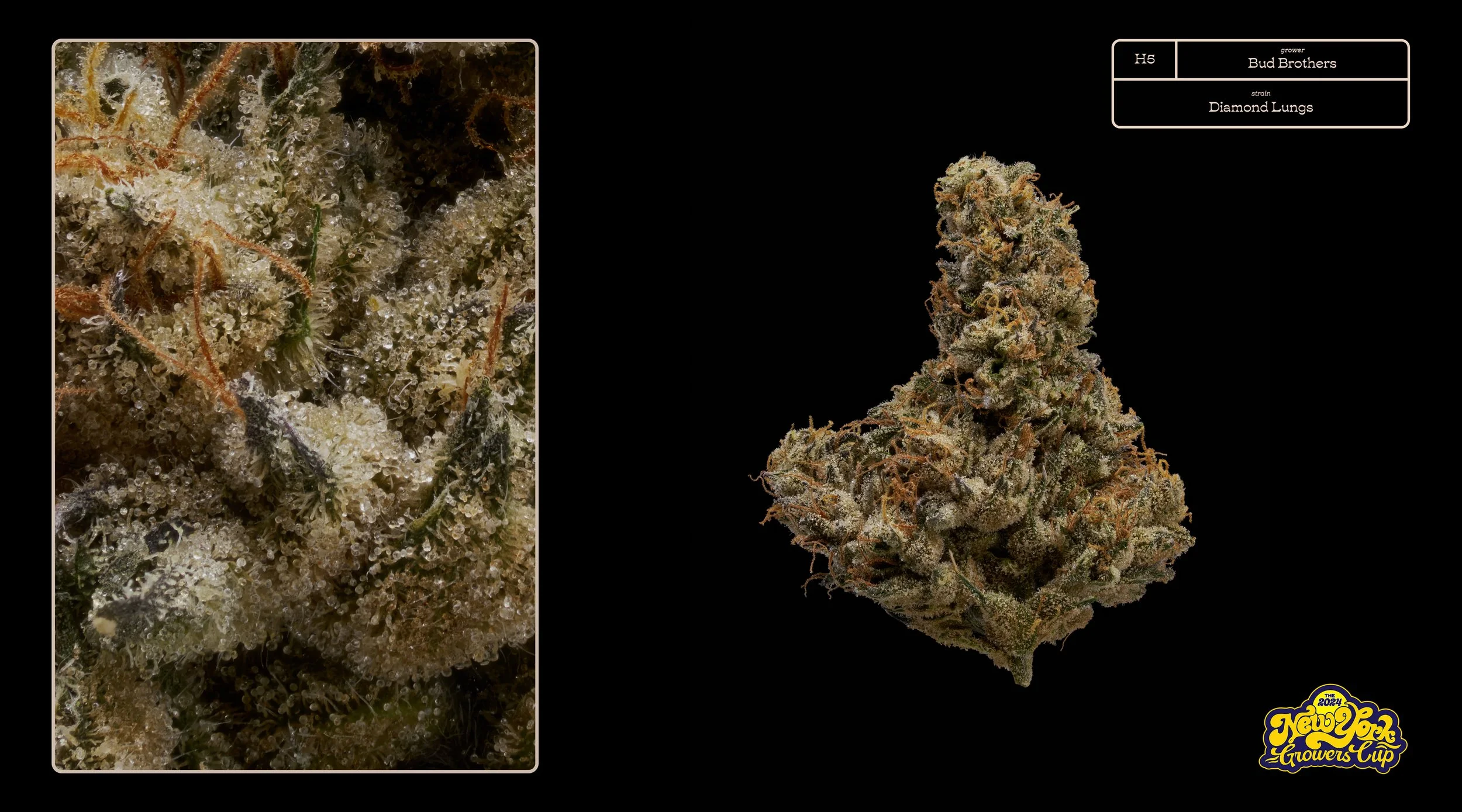 2024_NYGC_Slideshow-Entries_H5_ Bud Brothers – “Diamond Lungs.jpg