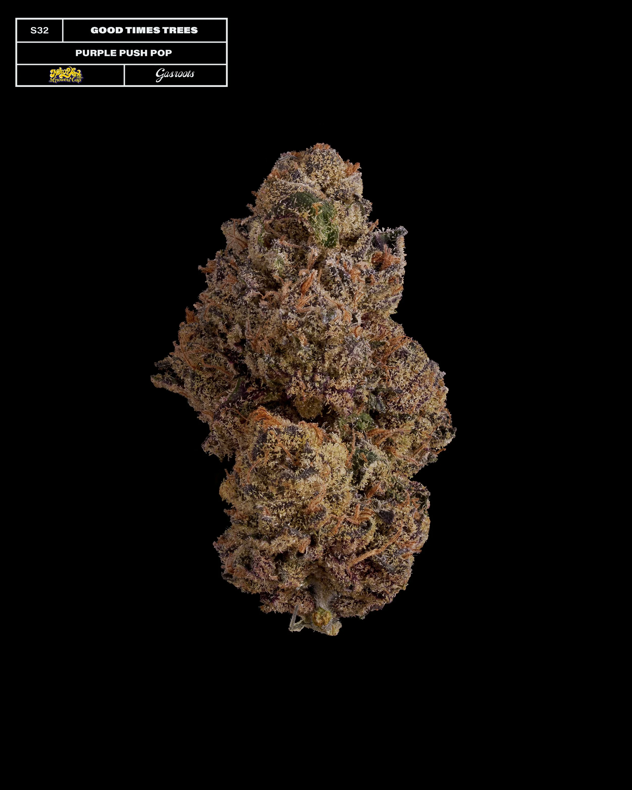 20231104_Gasroots_NYGrowersCup_S32_GoodTimesTrees_PurplePushPop_Infographic.jpg