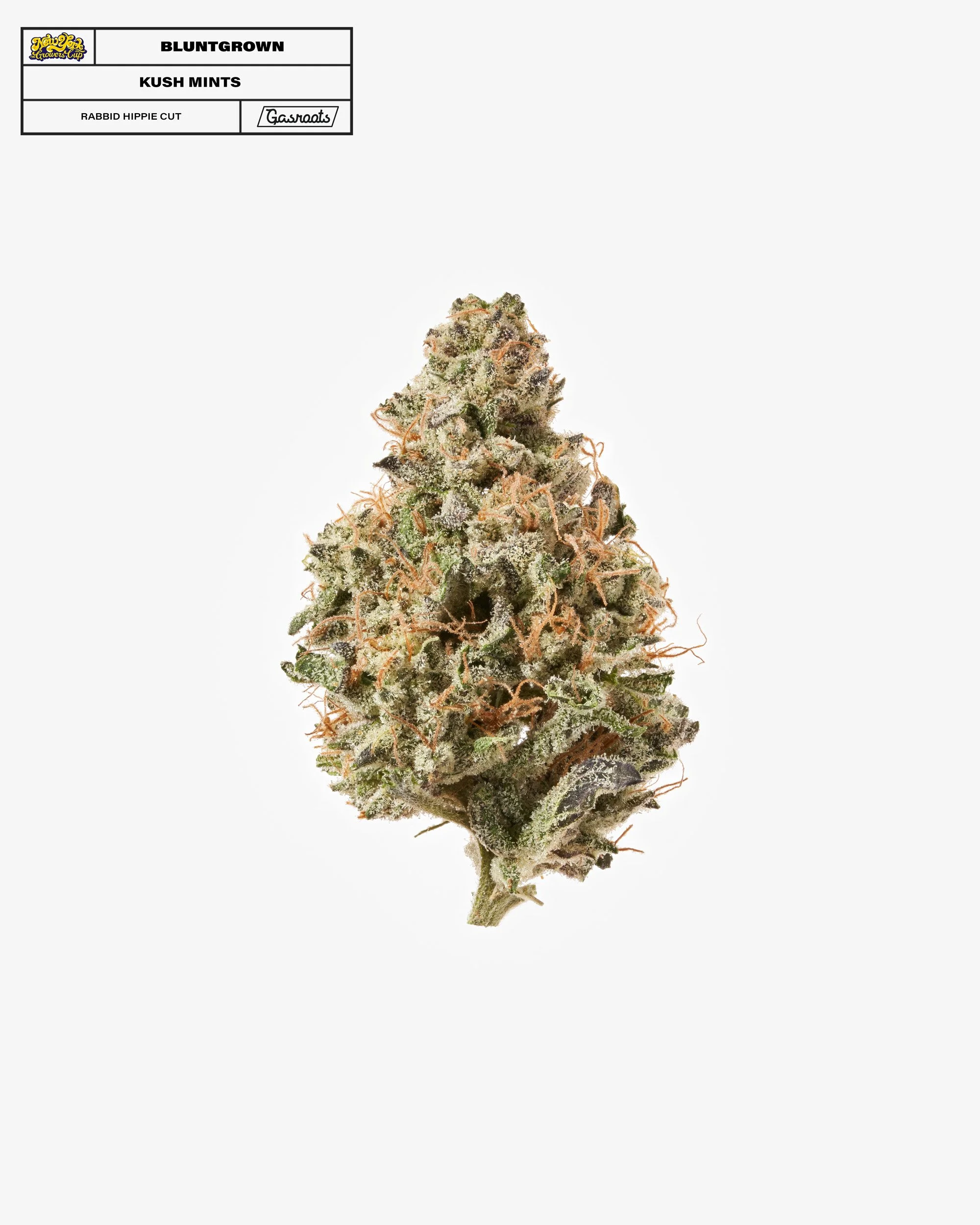 221011_NYSGC_EntryPhotos_O21_BluntGrown_KushMintsRabbitHippieCut_A 1.jpg
