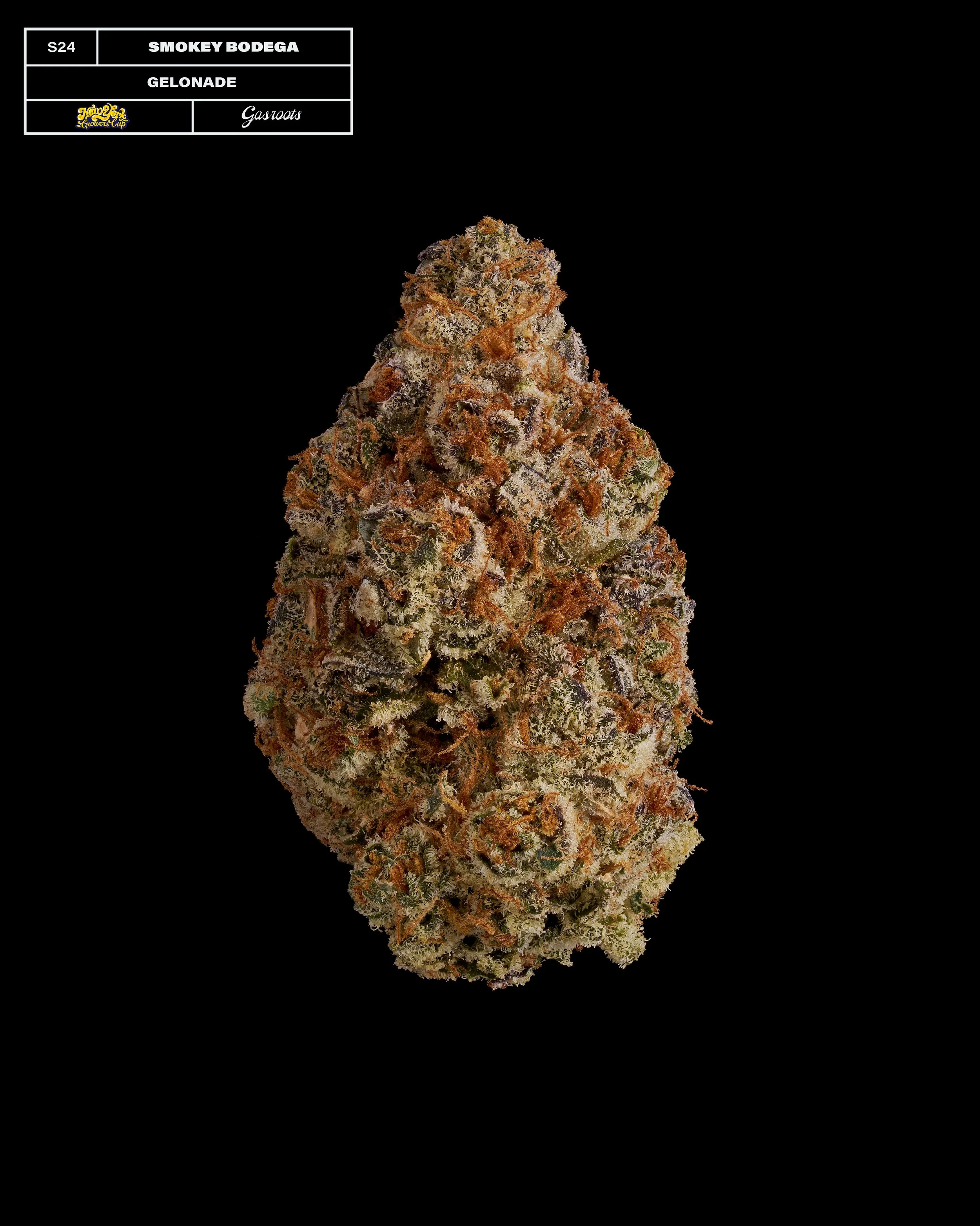 20231104_Gasroots_NYGrowersCup_S24_SmokeyBodega_Gelonade_Infographic.jpg