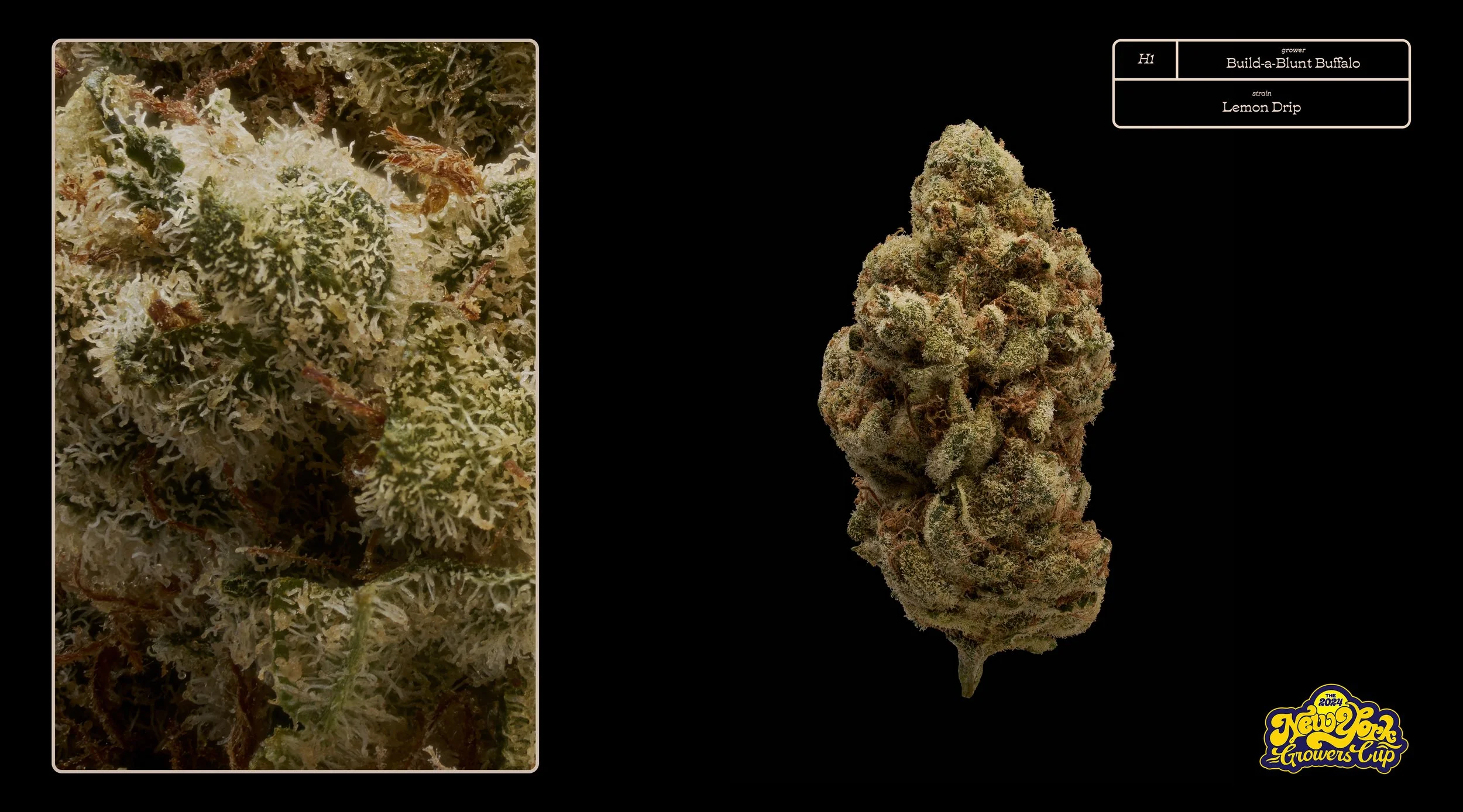 2024_NYGC_Slideshow-Entries_H1_ Build-a-Blunt Buffalo – “Lemon Drip”.jpg