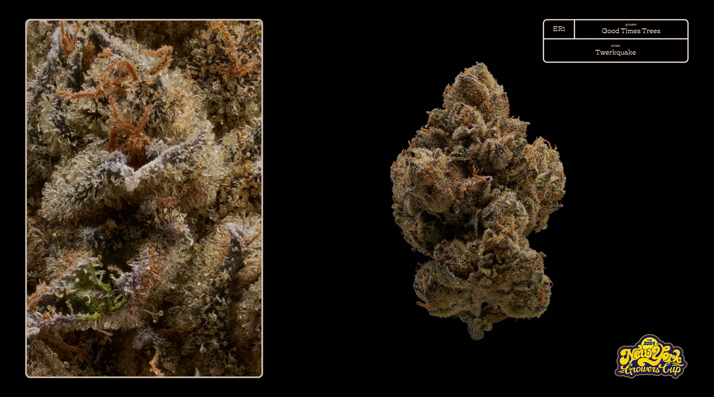 ER1_ Good Times Trees – “Twerkquake”_.jpg