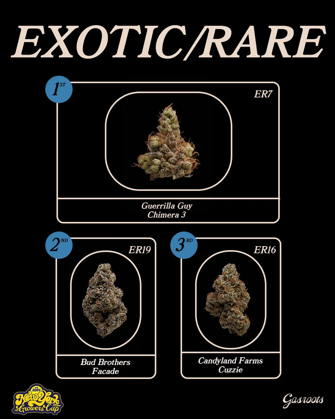 WINNER_GFX_2024_V01EXOTIC_RARE.jpg