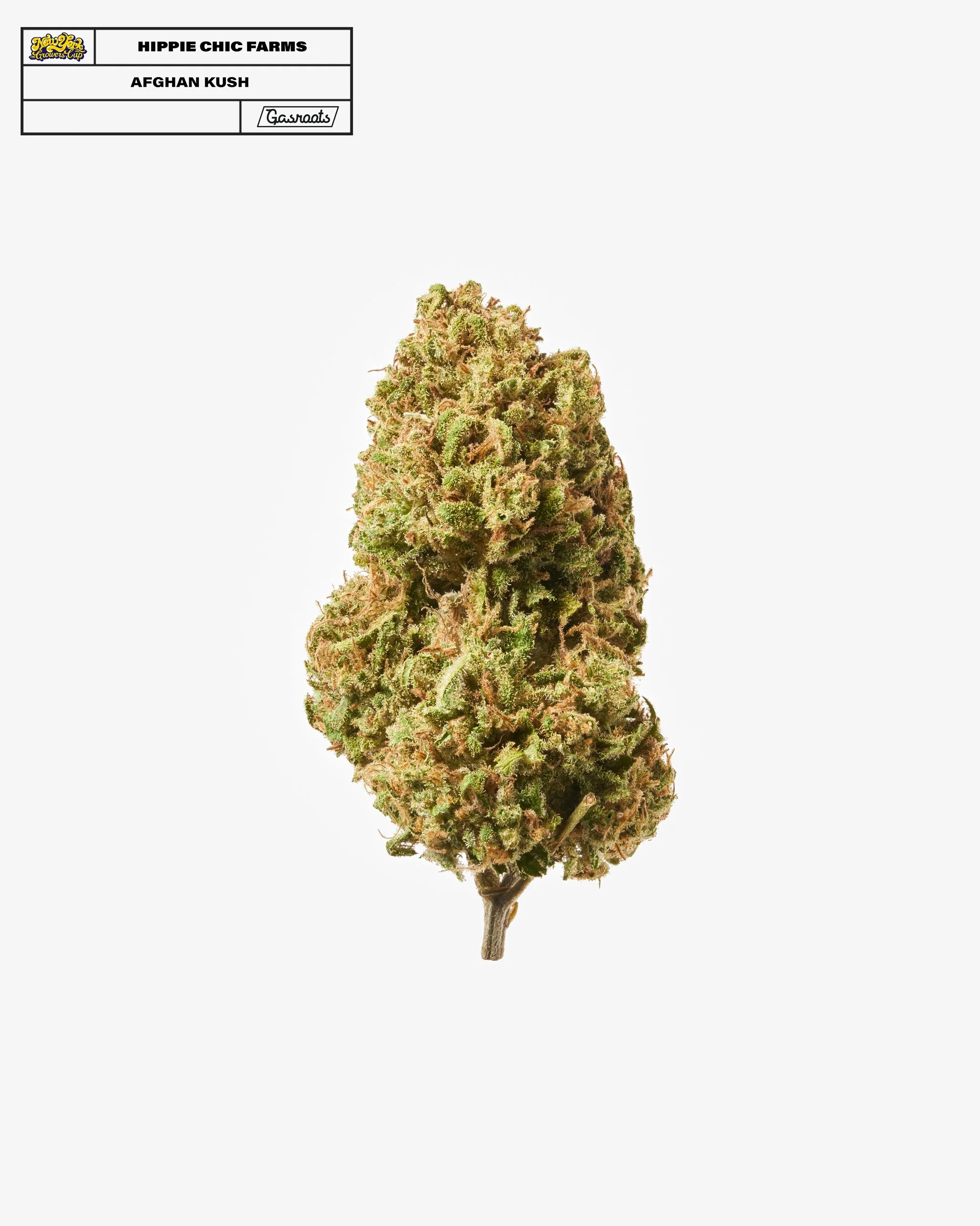 221011_NYSGC_EntryPhotos_O19_HippieChicFarms_AfghanKush_A 1.jpg