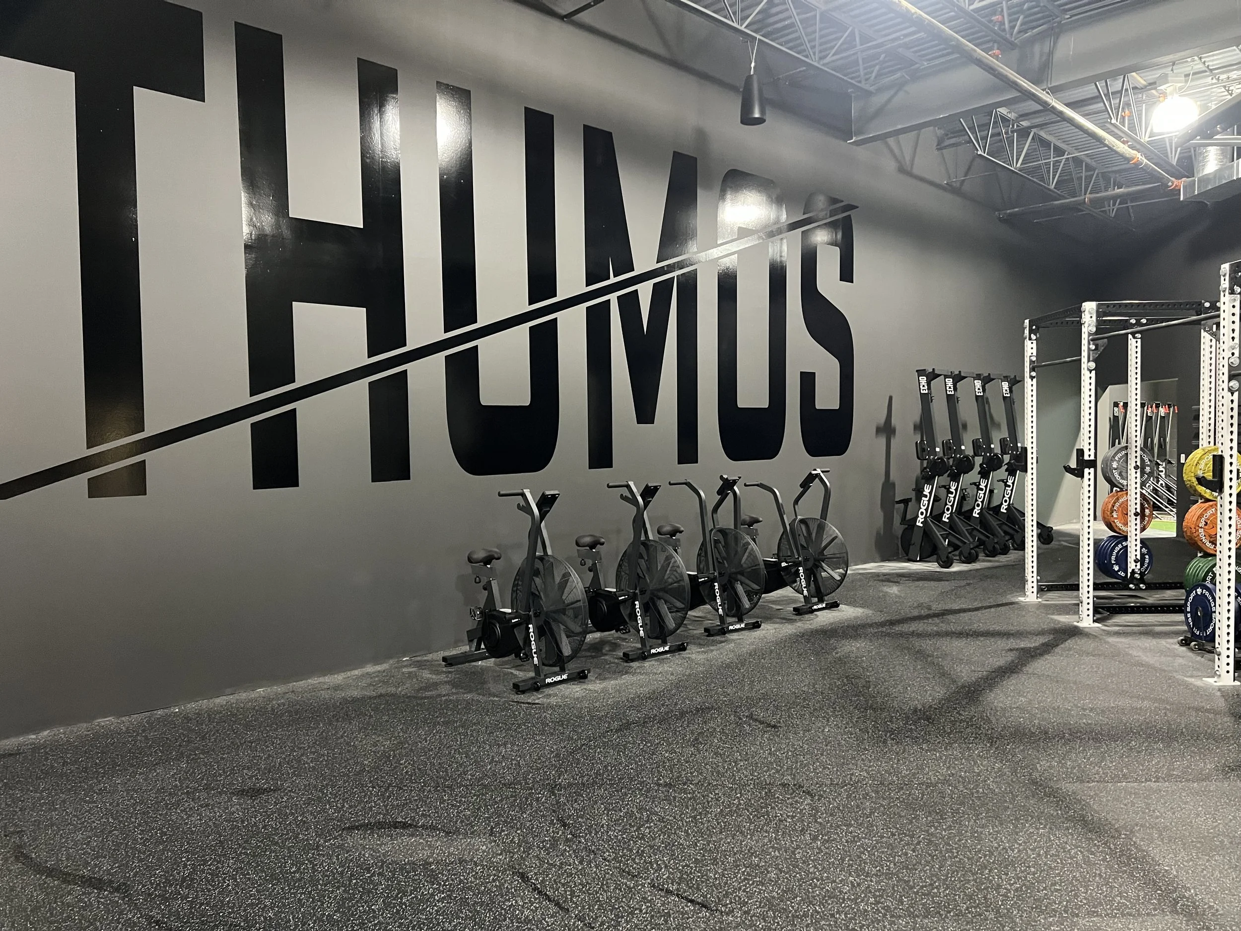 Welcome to thumos: Why the space Was Built for You
