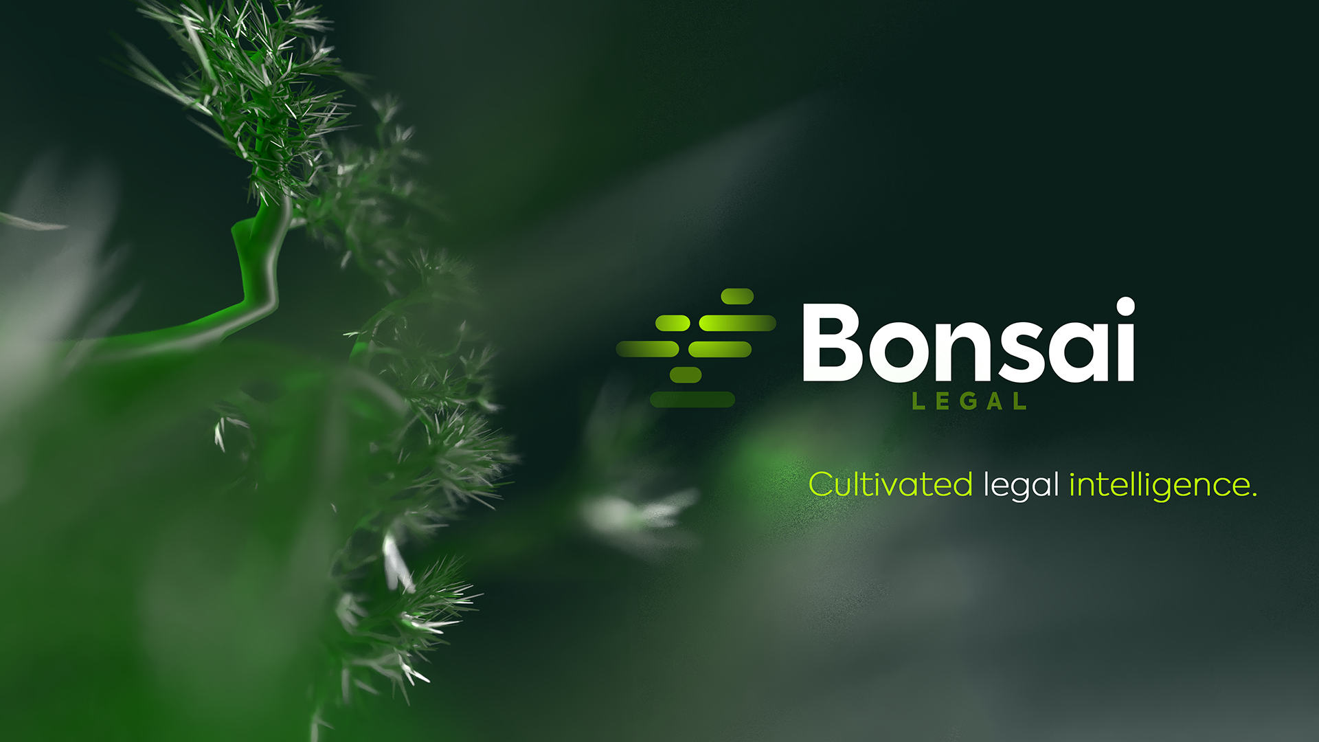 Bonsai_WEB2_Mood_01.png