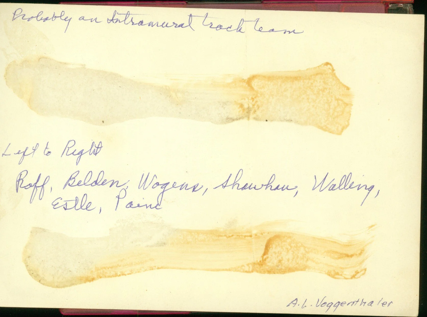 DU Intramural Track Team Description