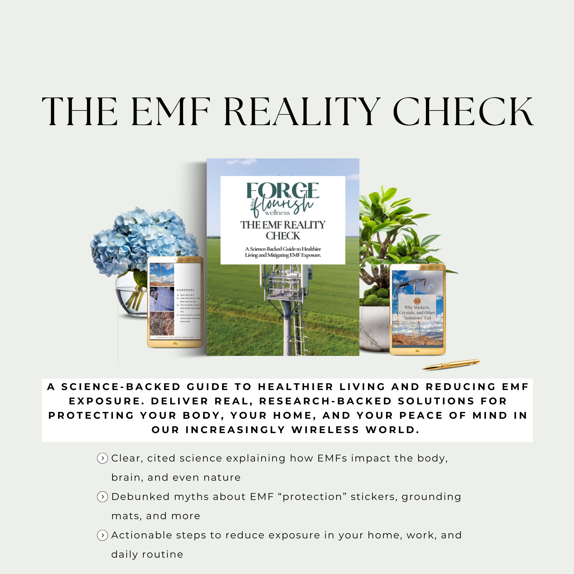 emf guide.png