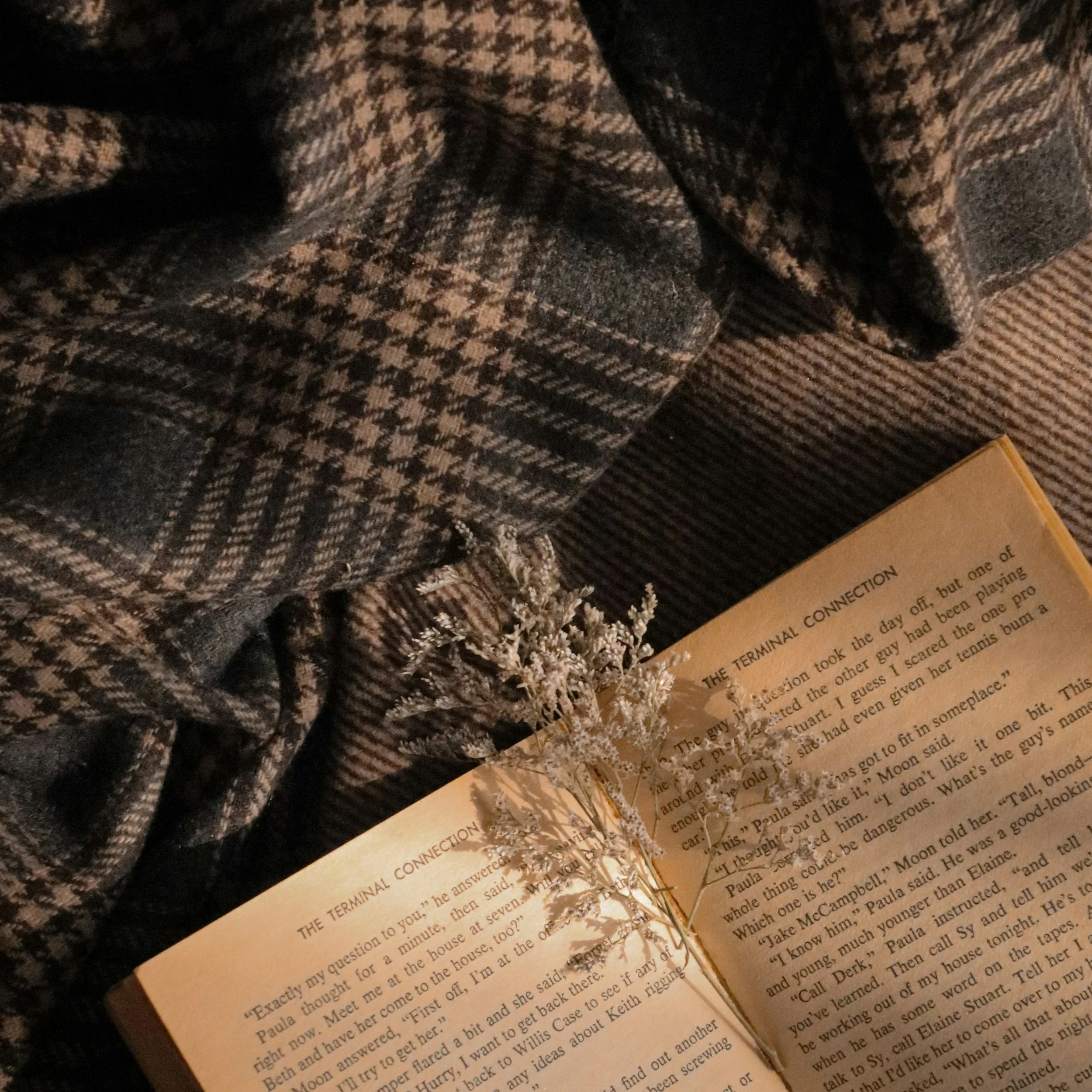 The Curious Box—A One-Time Treat