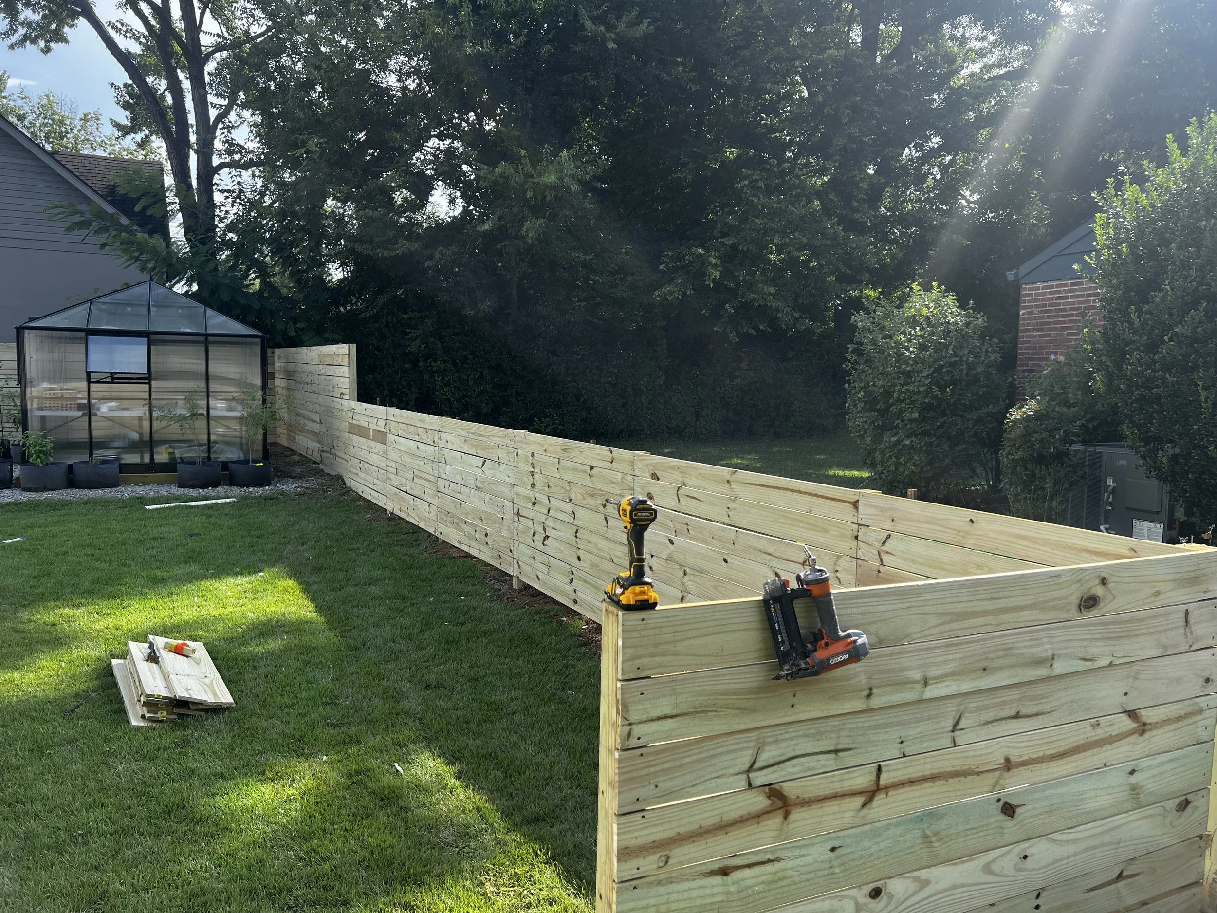 A backyard with a new wooden fence under construction, a greenhouse, and a large tree in the background with sunlight streaming through the leaves.