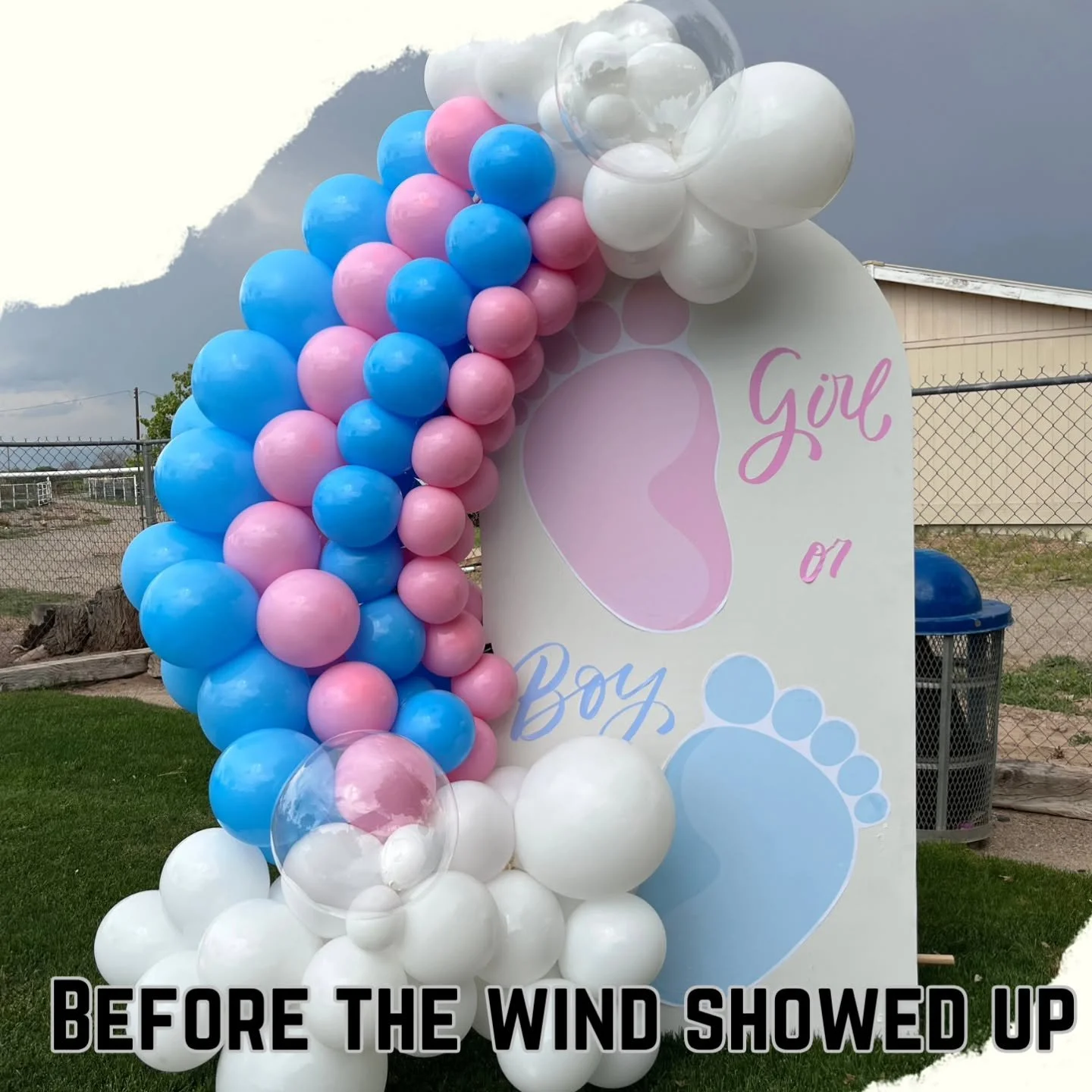 I forgot to show you guys this&hellip; 🙈

This gender reveal started out picture-perfect 💖💙

&hellip;until a gust of wind decided it was the main character. 🎈💨

My heart dropped when I got this photo &mdash; balloons flying, backdrop down, the w