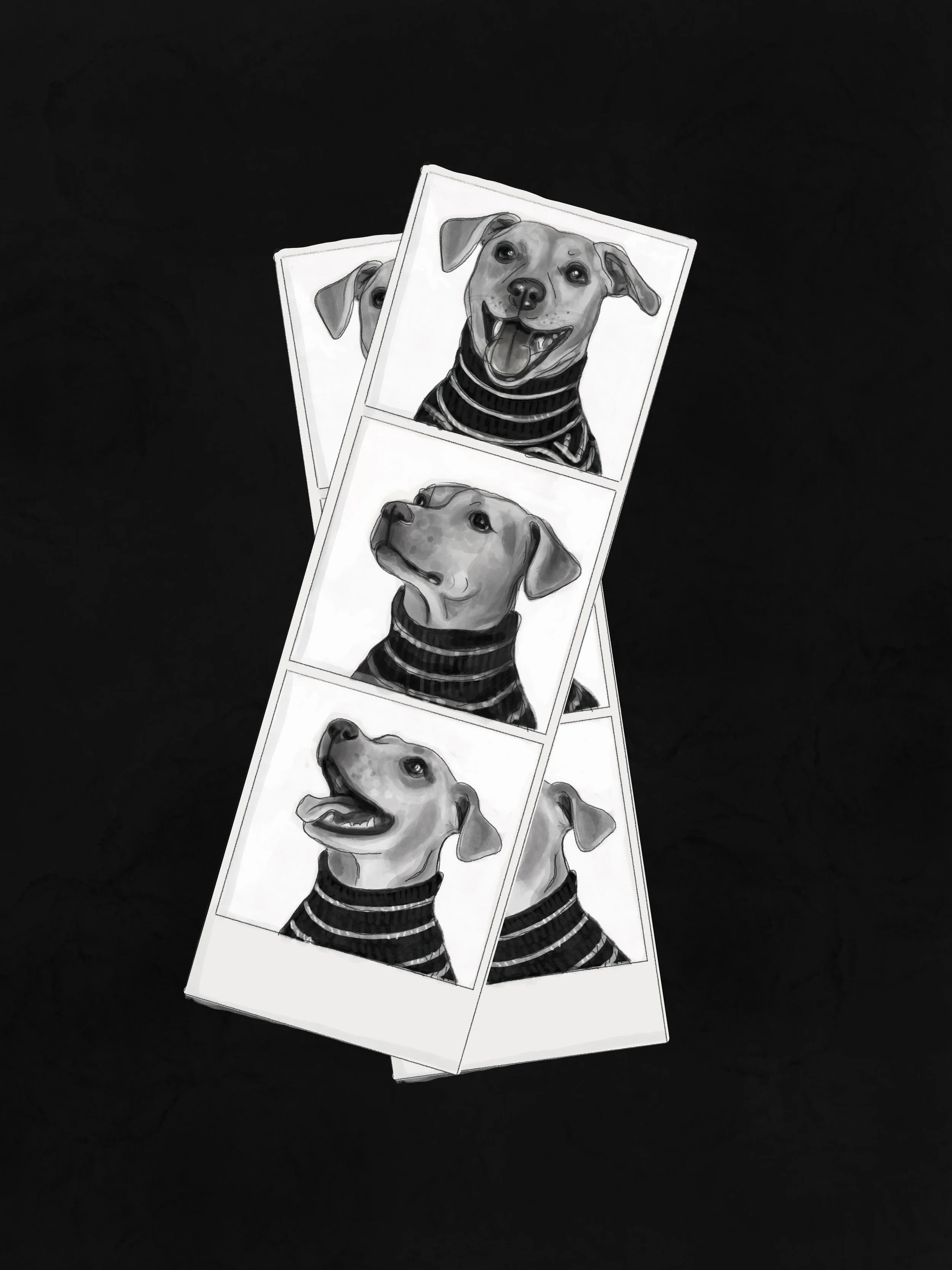 Four strips of photo booth pictures of a dog with a striped sweater, showing various happy and curious expressions, against a black background.