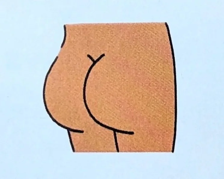 The Book of Butts