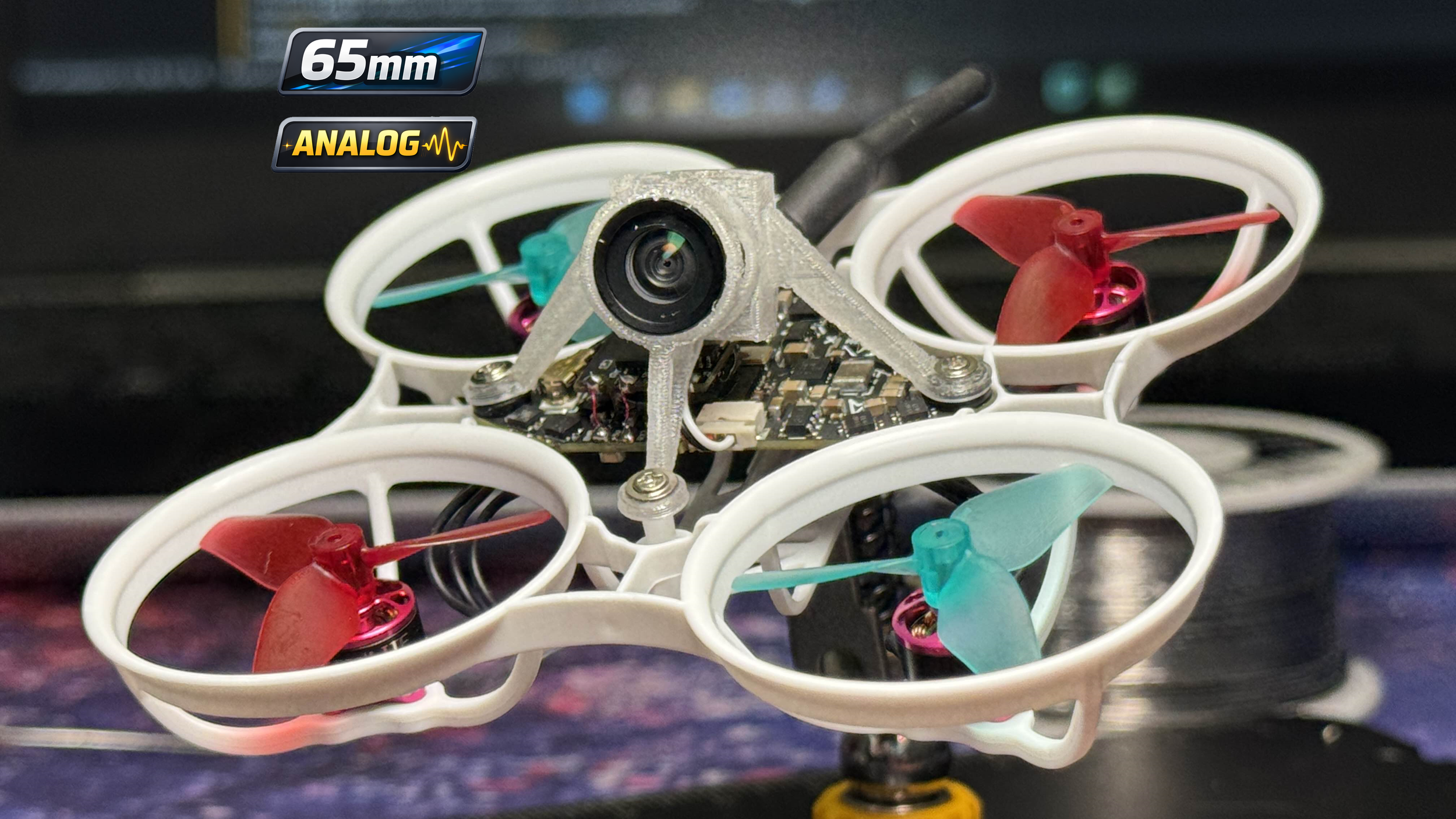 Classic 65 - Mixed Berry (Pre-Order Sale, expected 1/15)