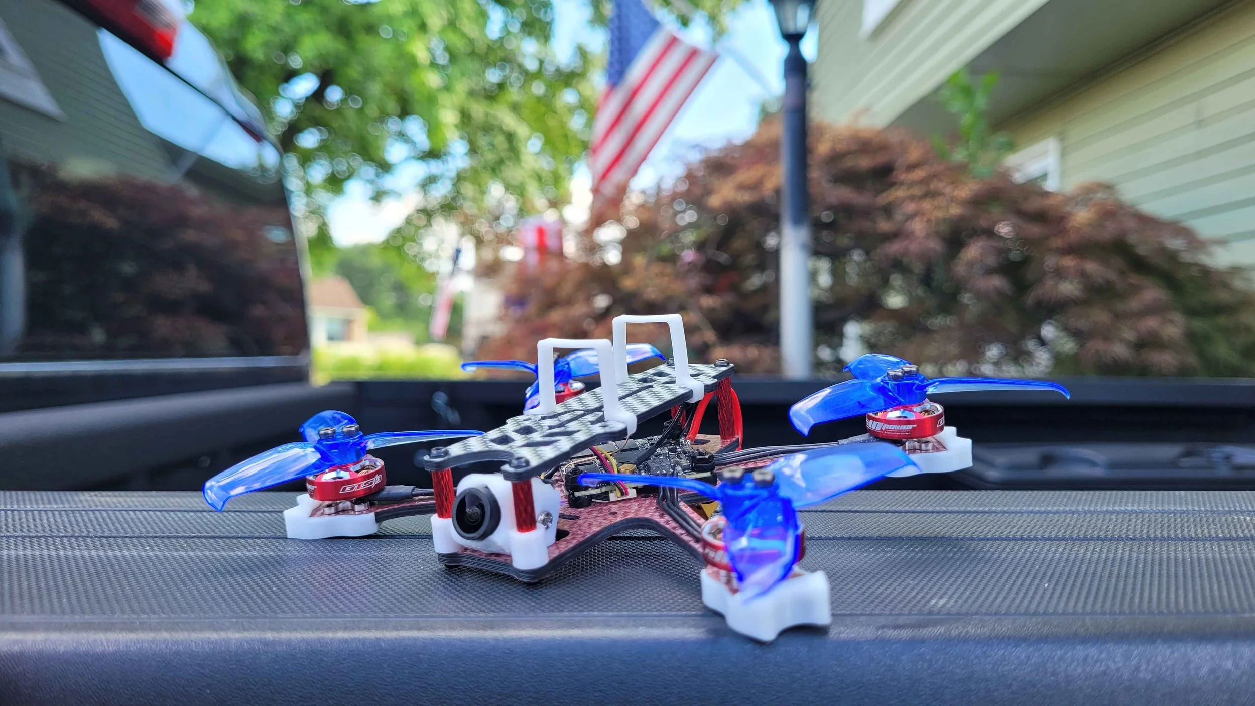 murica_heads.jpg