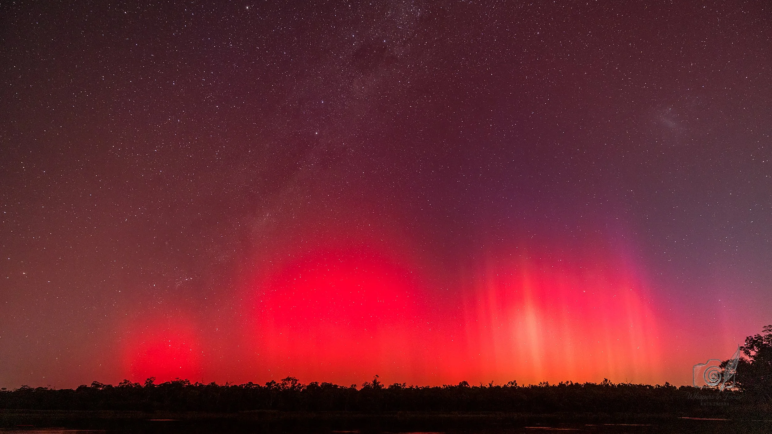 Crimson Chorus in the Southern Night Notecard
