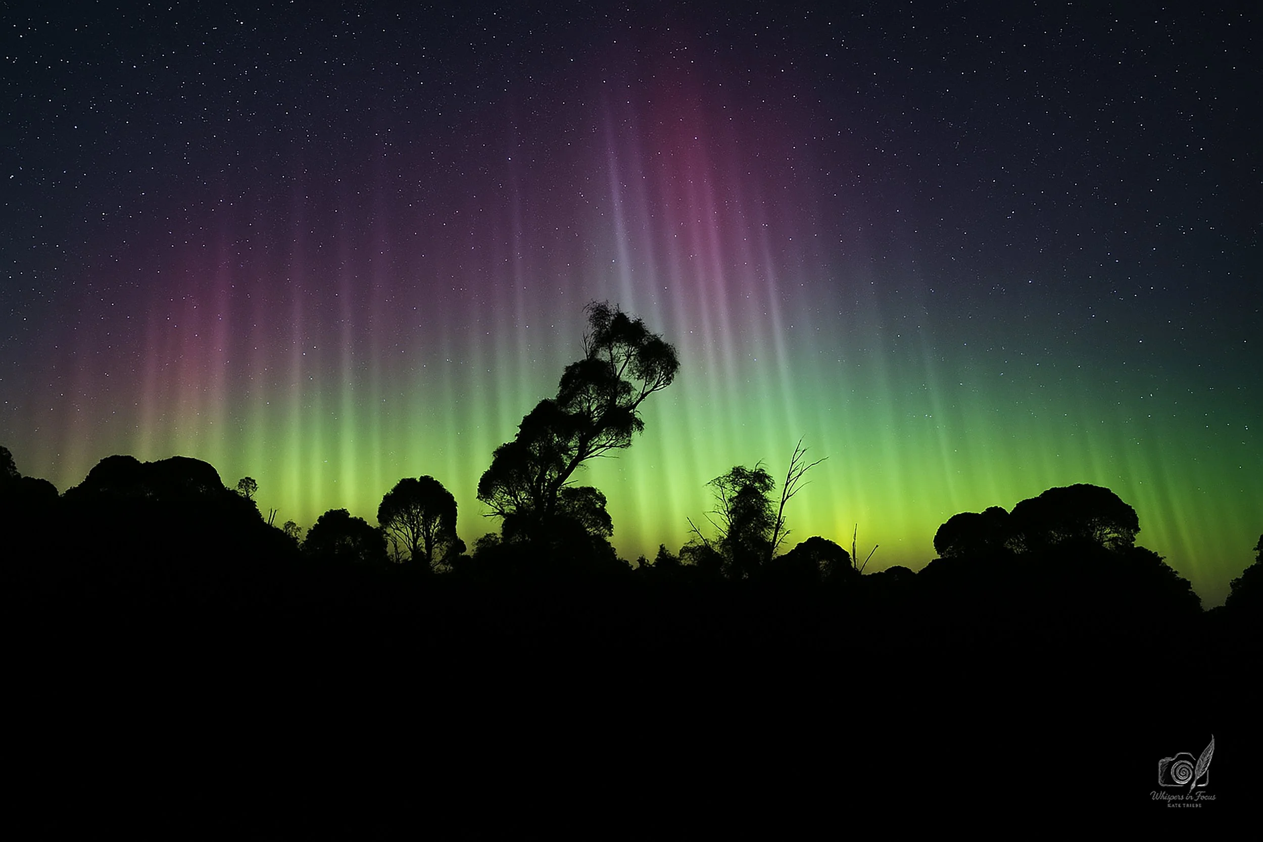 Celestial Chorus at Tods Corner Notecard