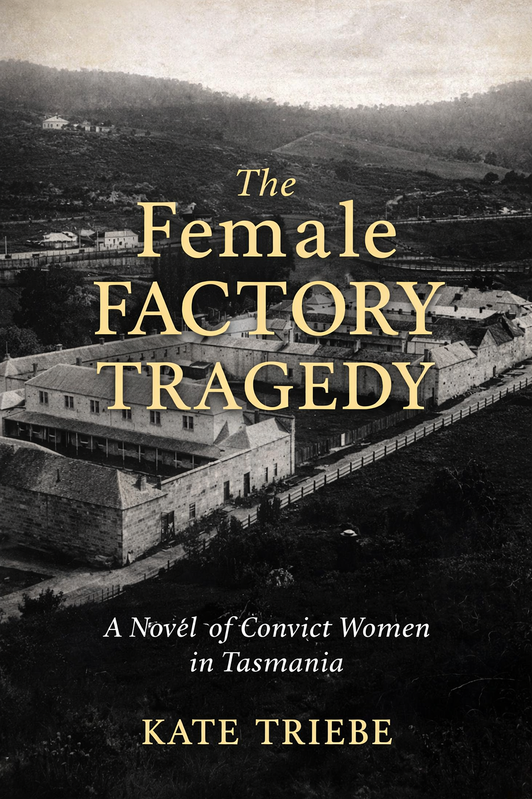 The Female Factory Tragedy - ebook