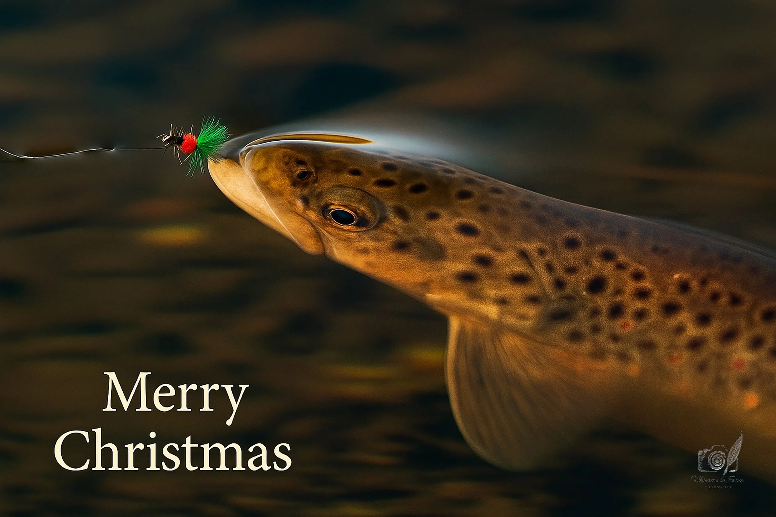 The One That Bit at Christmas - Notecard