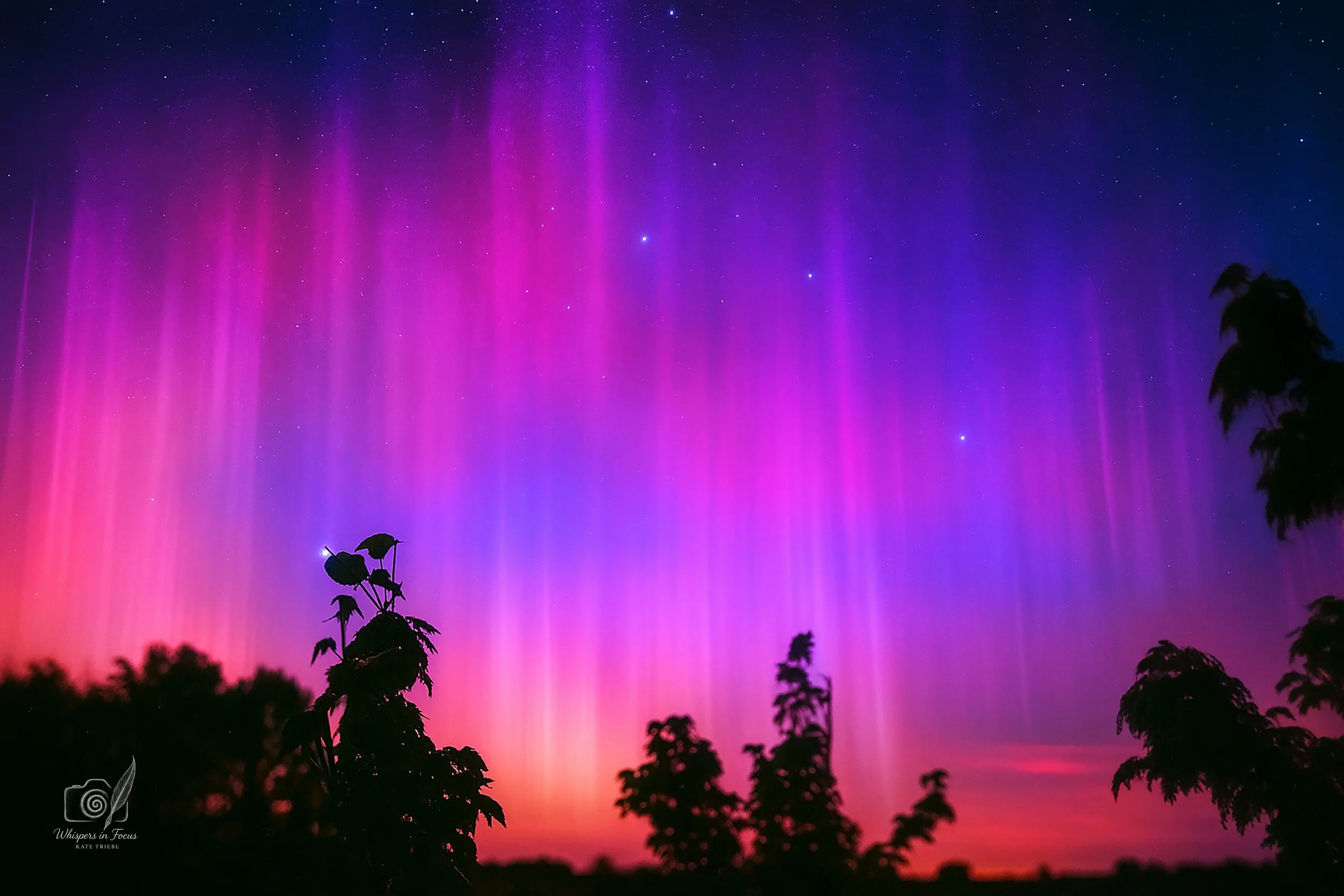 Veil of the Cosmos - Notecard