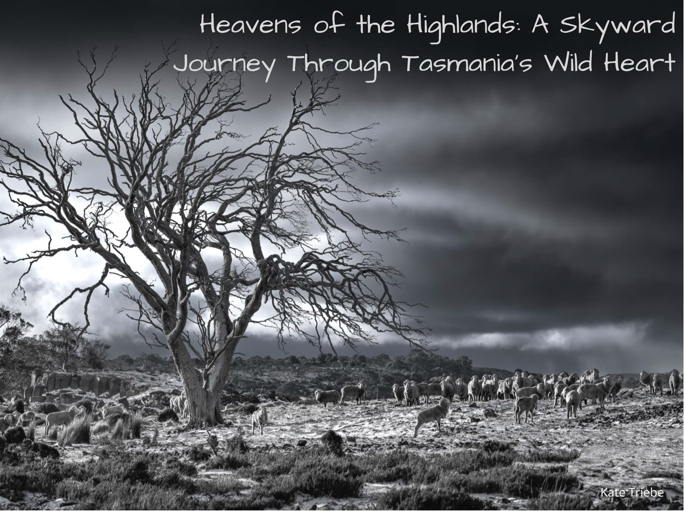 Heavens of the Highlands: A Skyward Journey Through Tasmania's Wild Heart