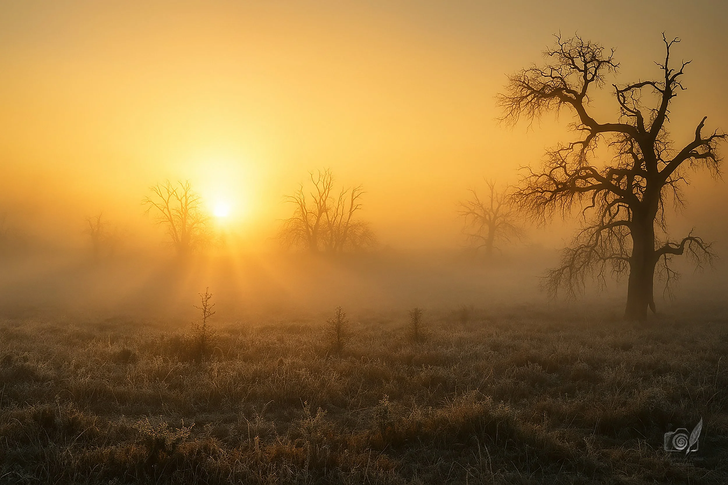 Dawn Wears the Frost Notecard