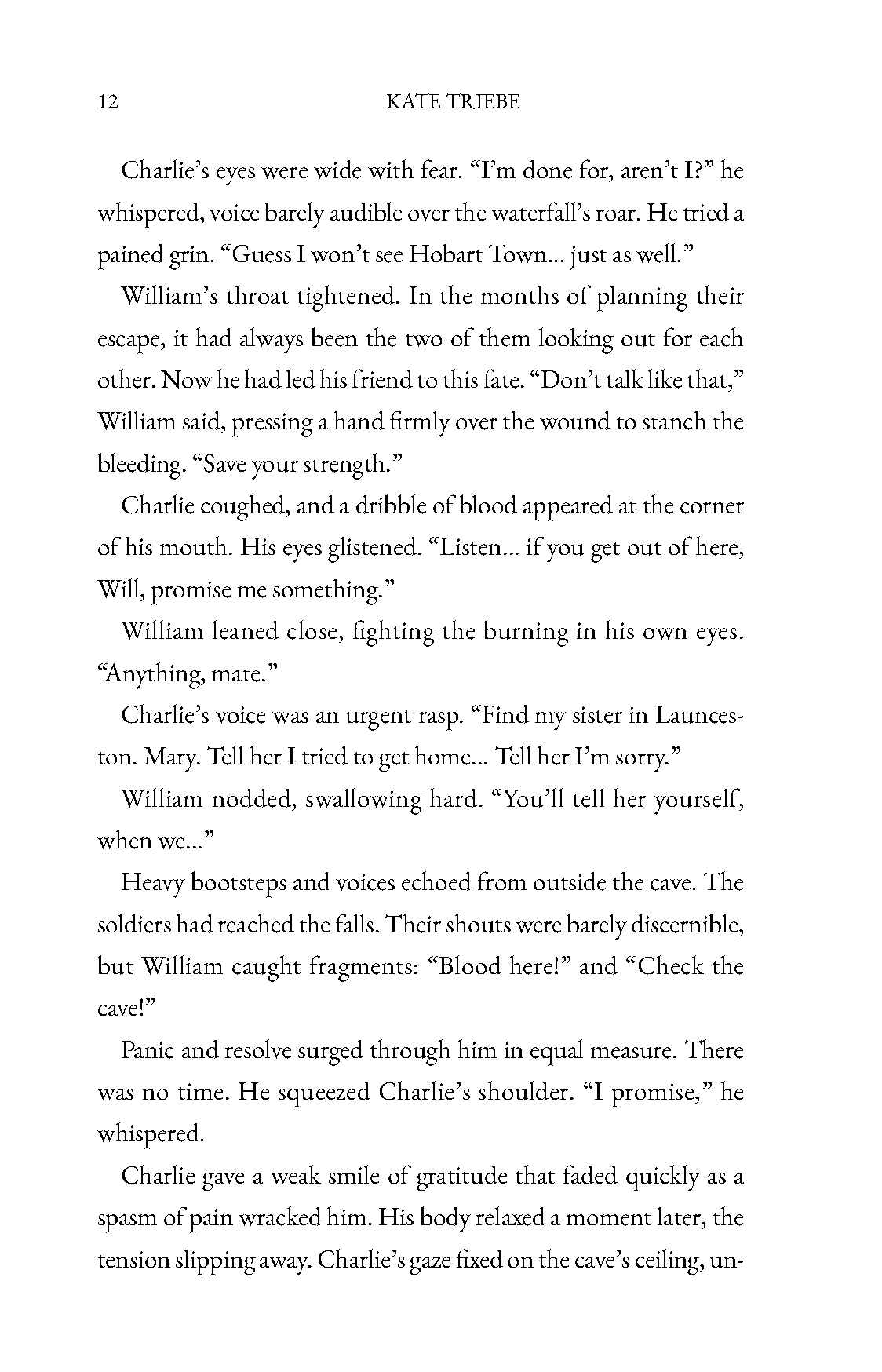 Pages from The Van Diemen Sipher-1 - No Covers_Page_07.png