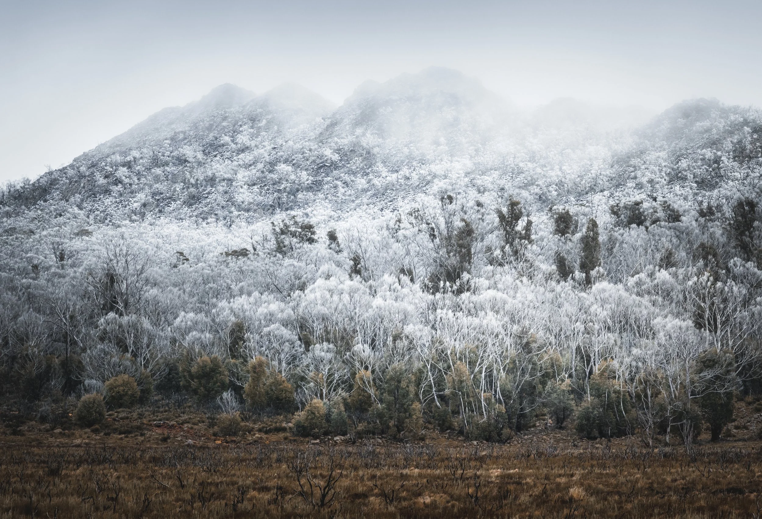 Where Frost Meets Sky - Notecard