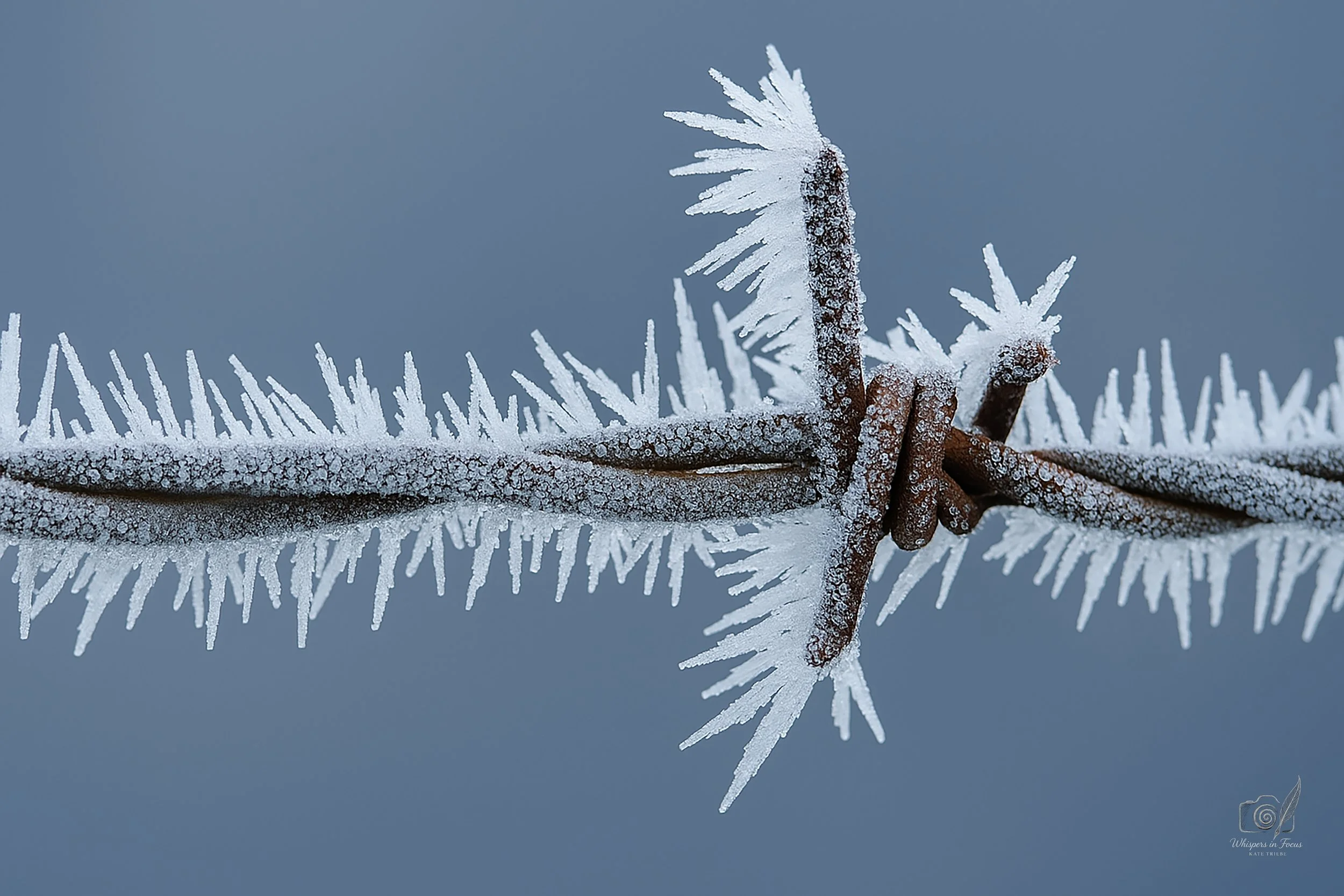 Frost Holds the Line Notecard