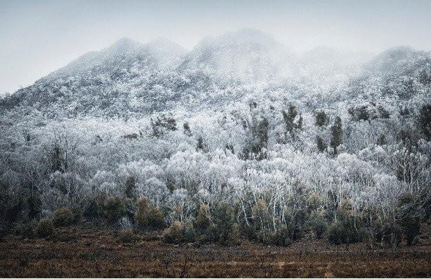 Where Frost Meets Sky Notecard