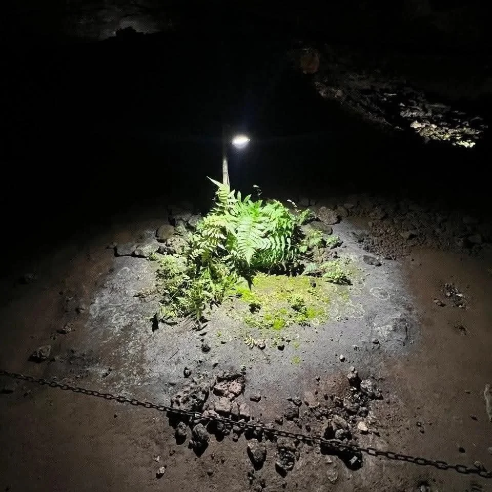 Photo from Jon Walker(16).jpg