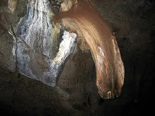 Photo from Jon Walker(11).jpg