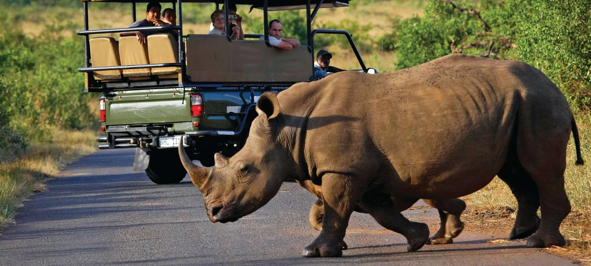 krugerwallpaper.jpg