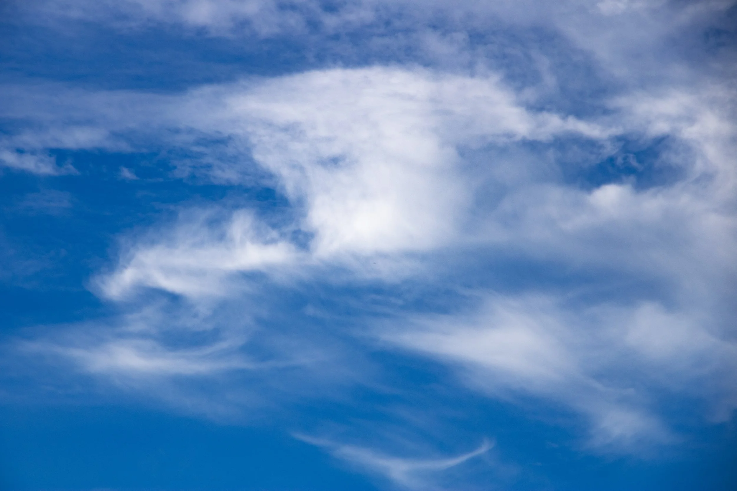 Sky Dragon