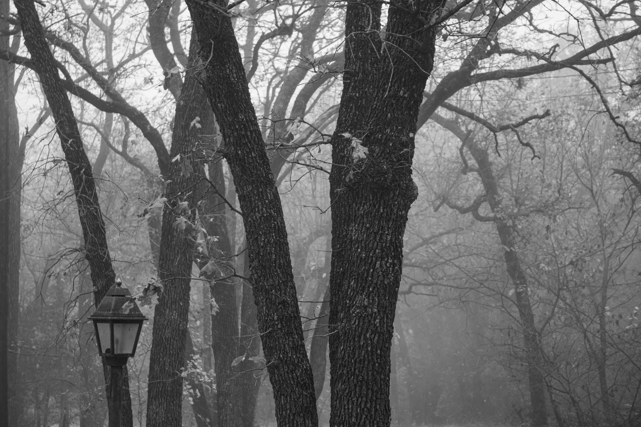 Unlit Path