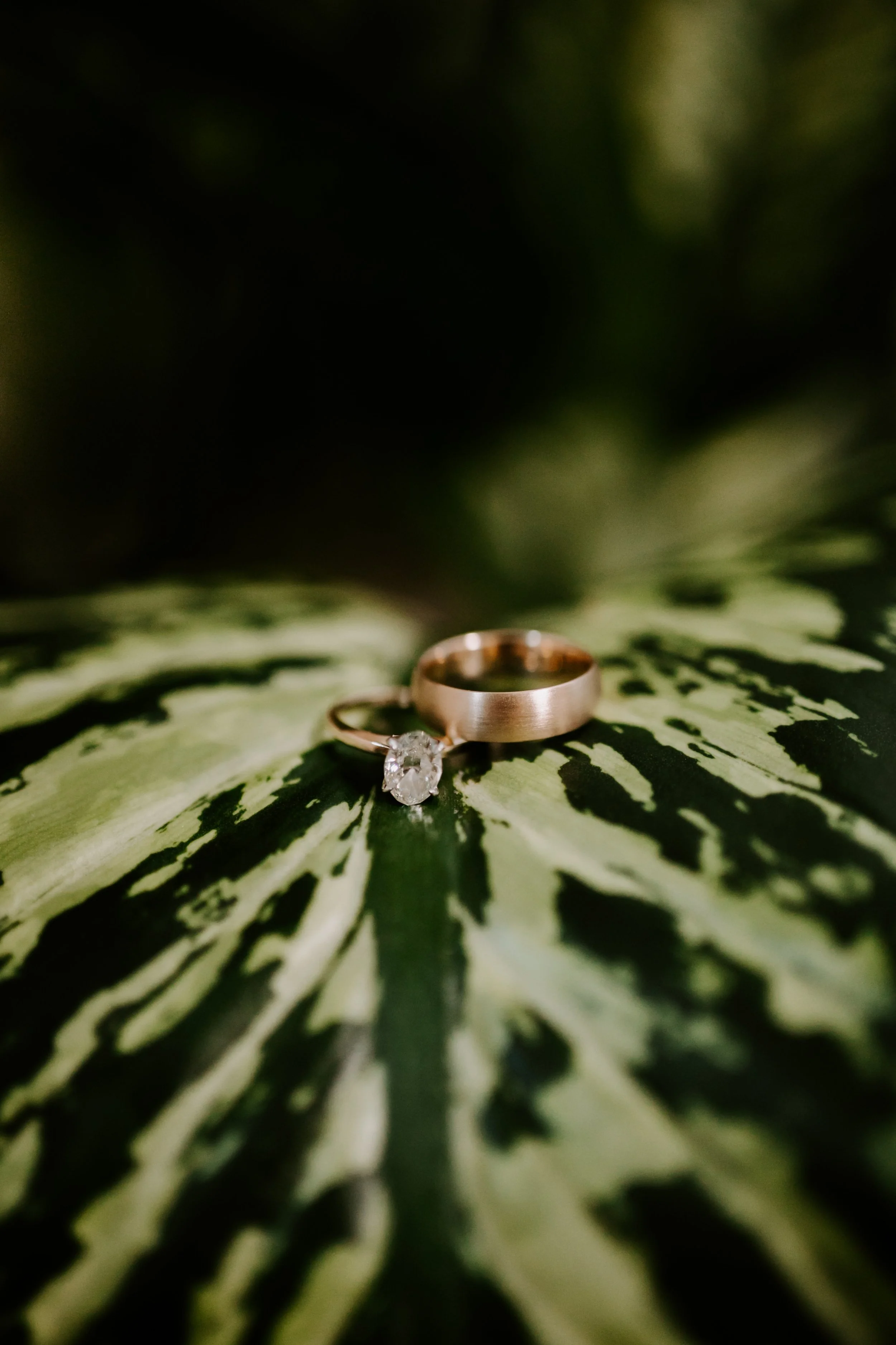 kaitie-matt-wedding-thegrandromantic (15 of 748).jpg