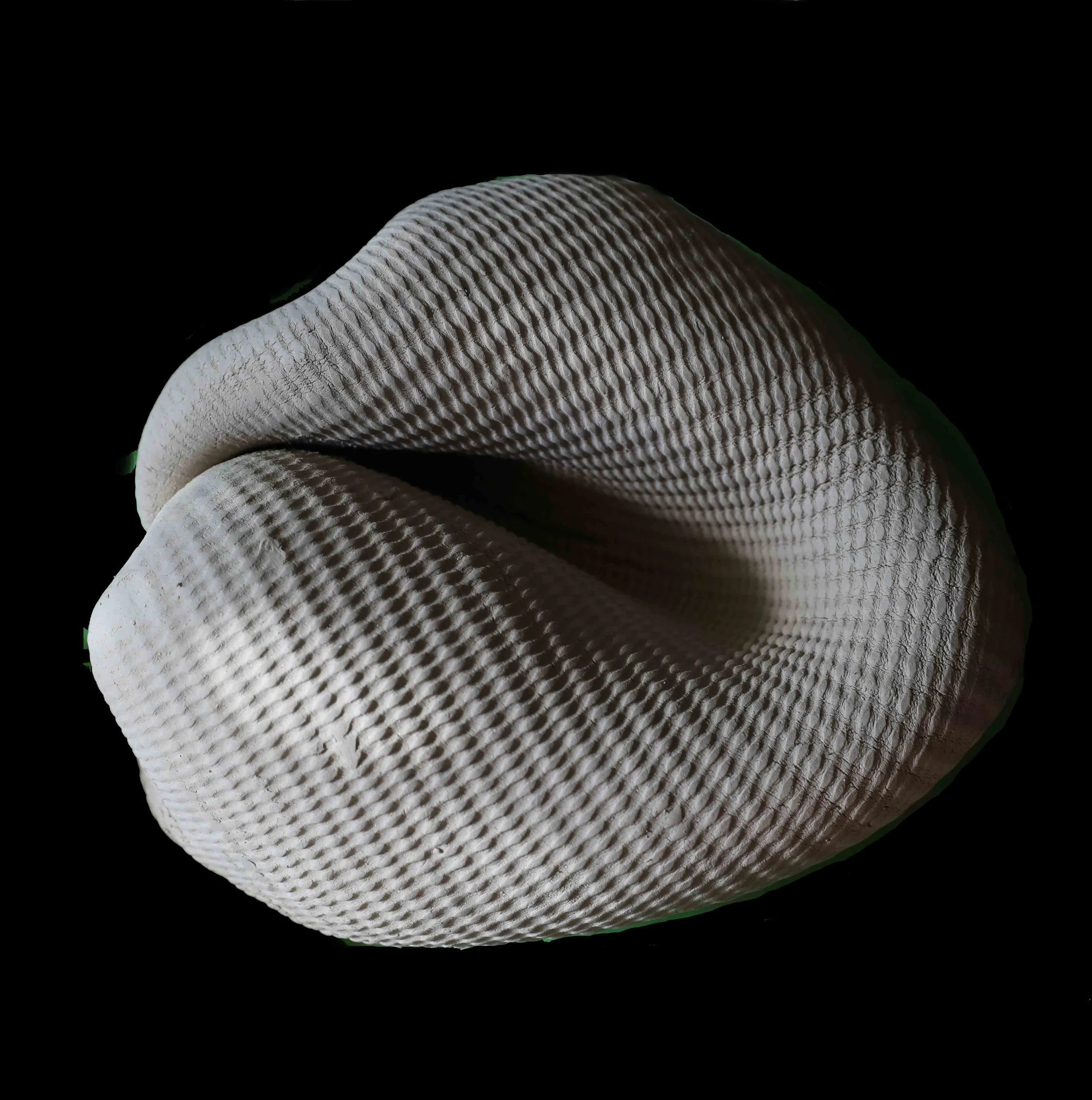 EV 71.jpg