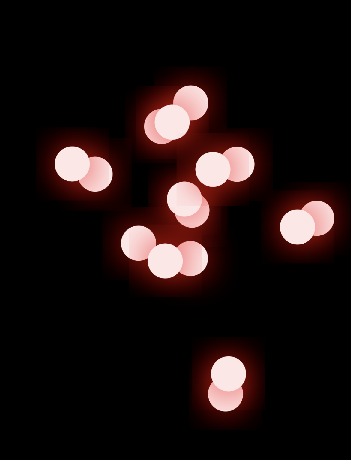 IMG_6249.PNG