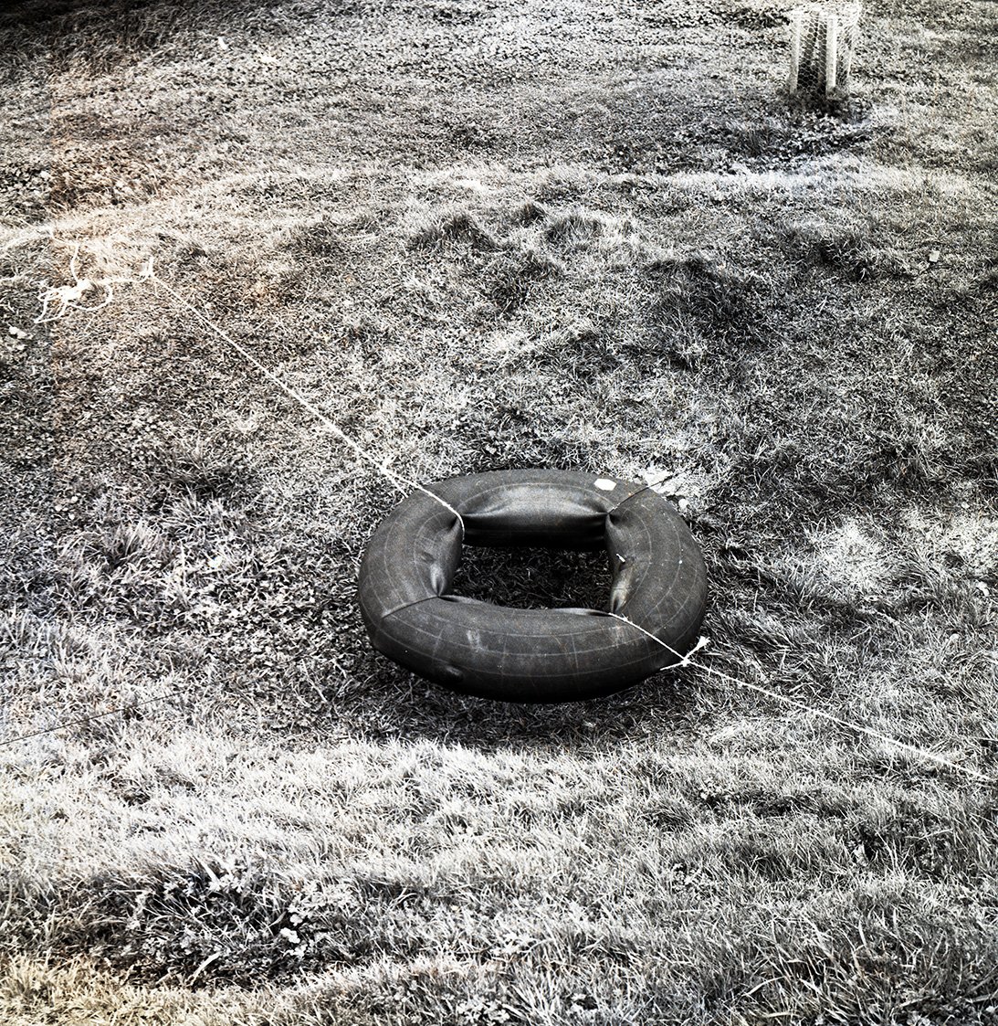 Mt Eden Crater Tyre_006.jpg