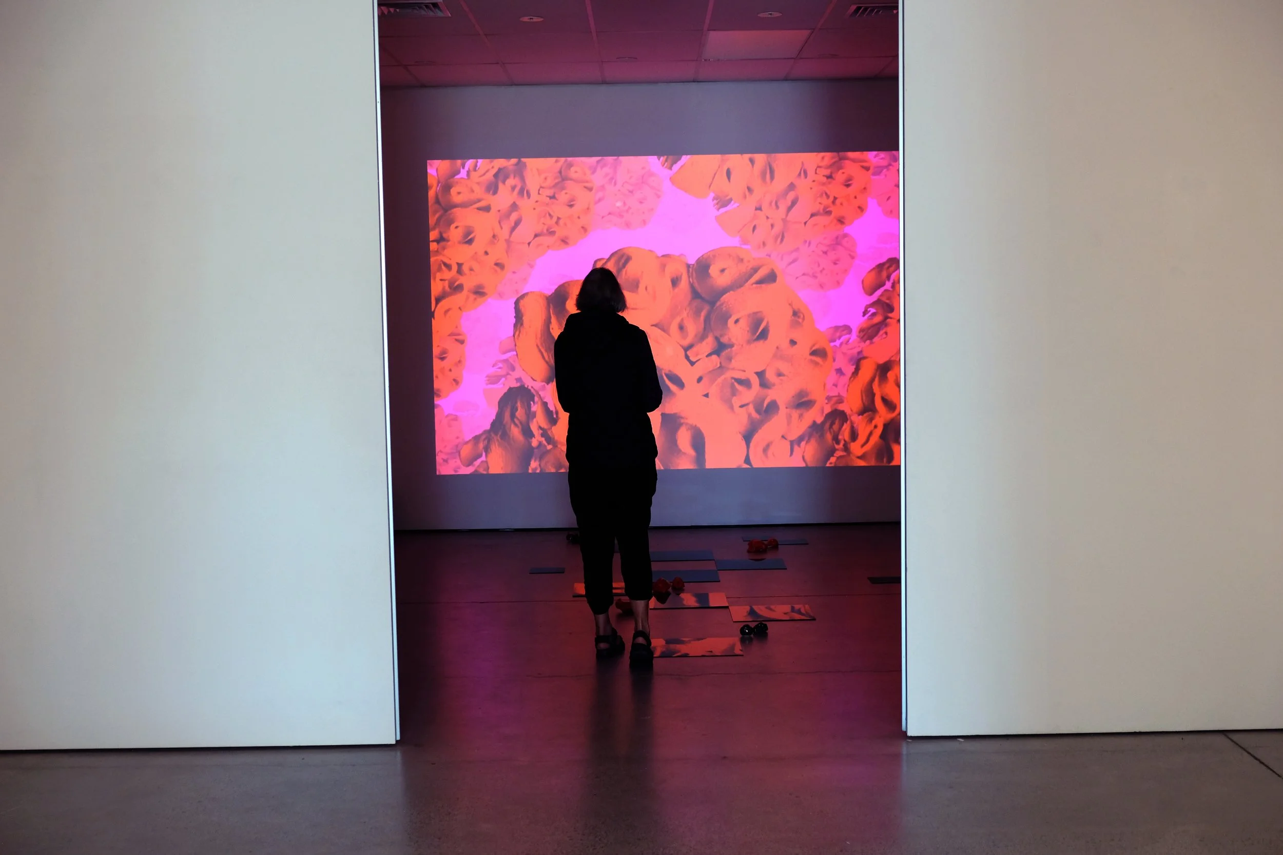 DSCF6786.JPG