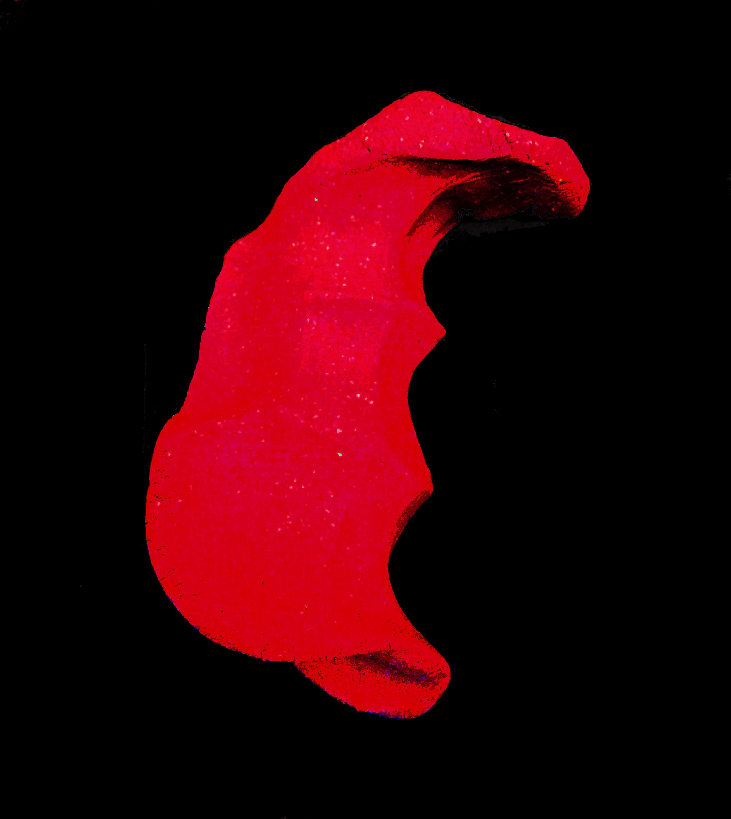 coralsqueeze.jpg
