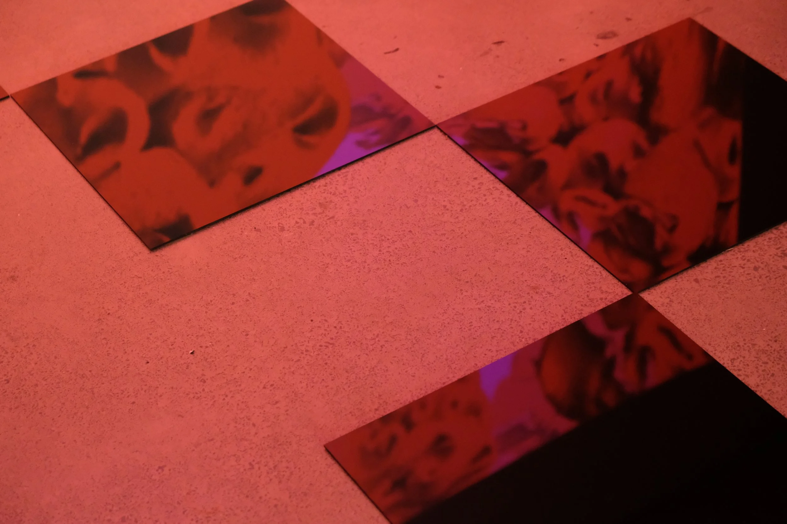 DSCF6830.JPG