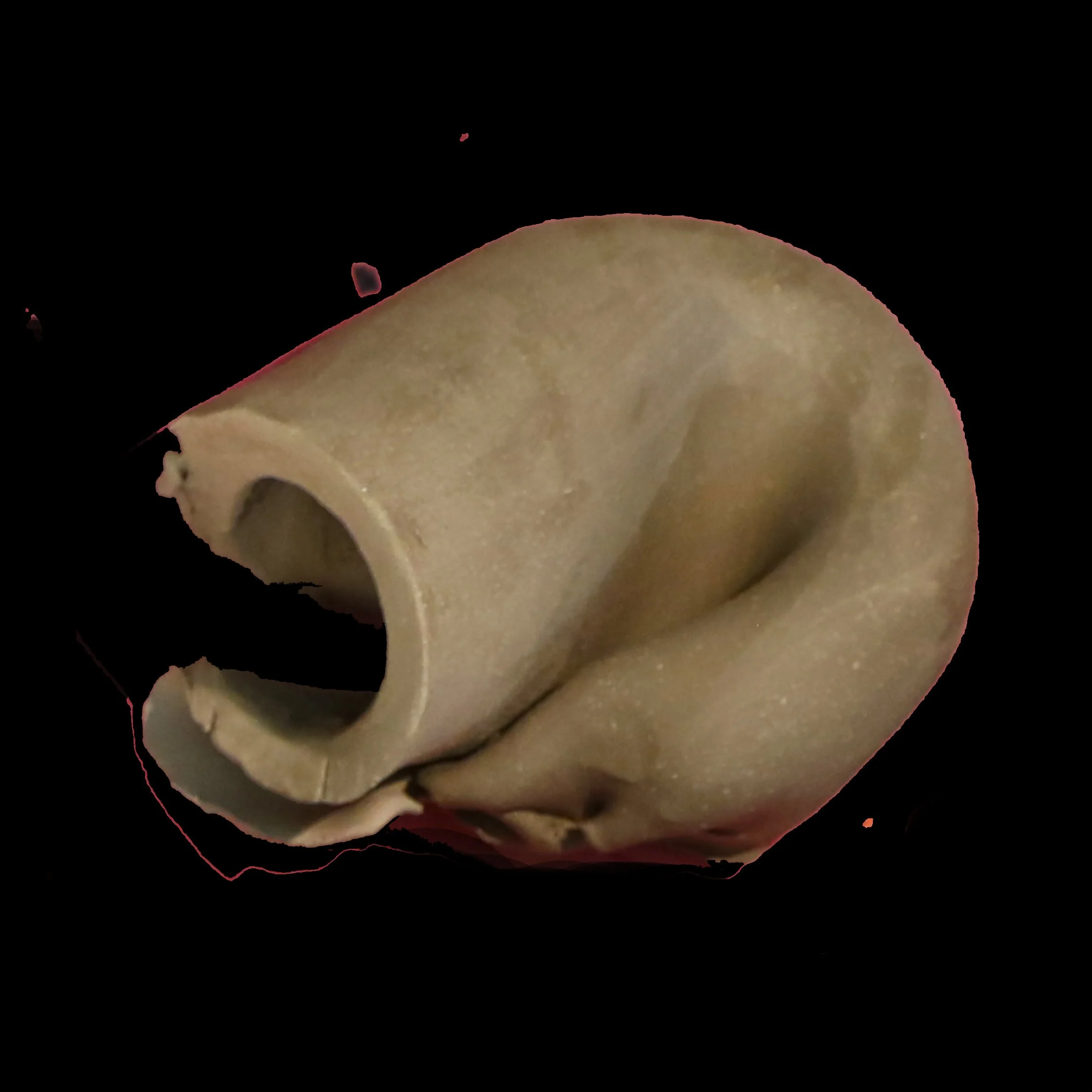 E29.jpg