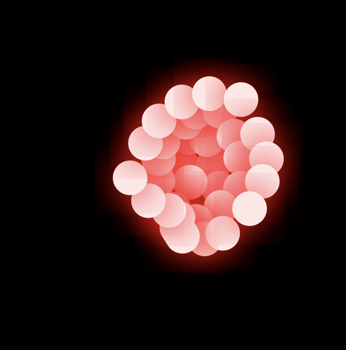 IMG_6247.PNG