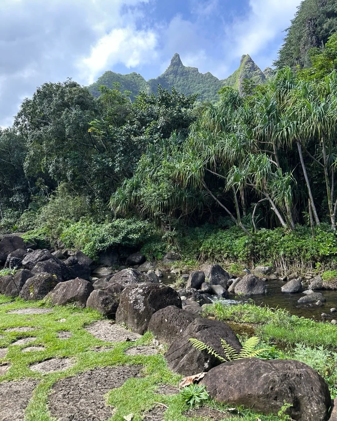 Arboretum in Hanalei