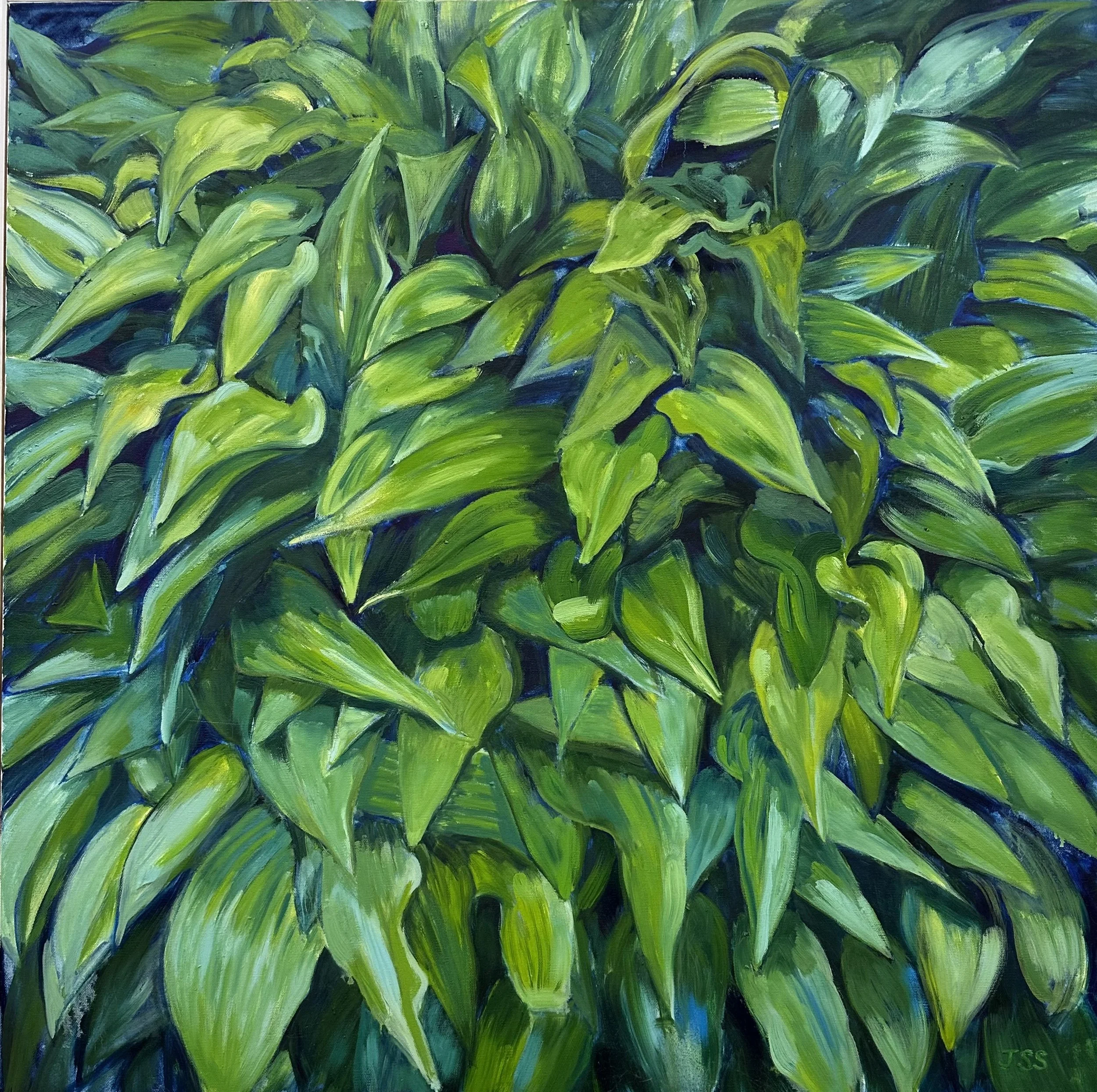 "Hosta 1", 36' x 36", oil on canvas, 2021