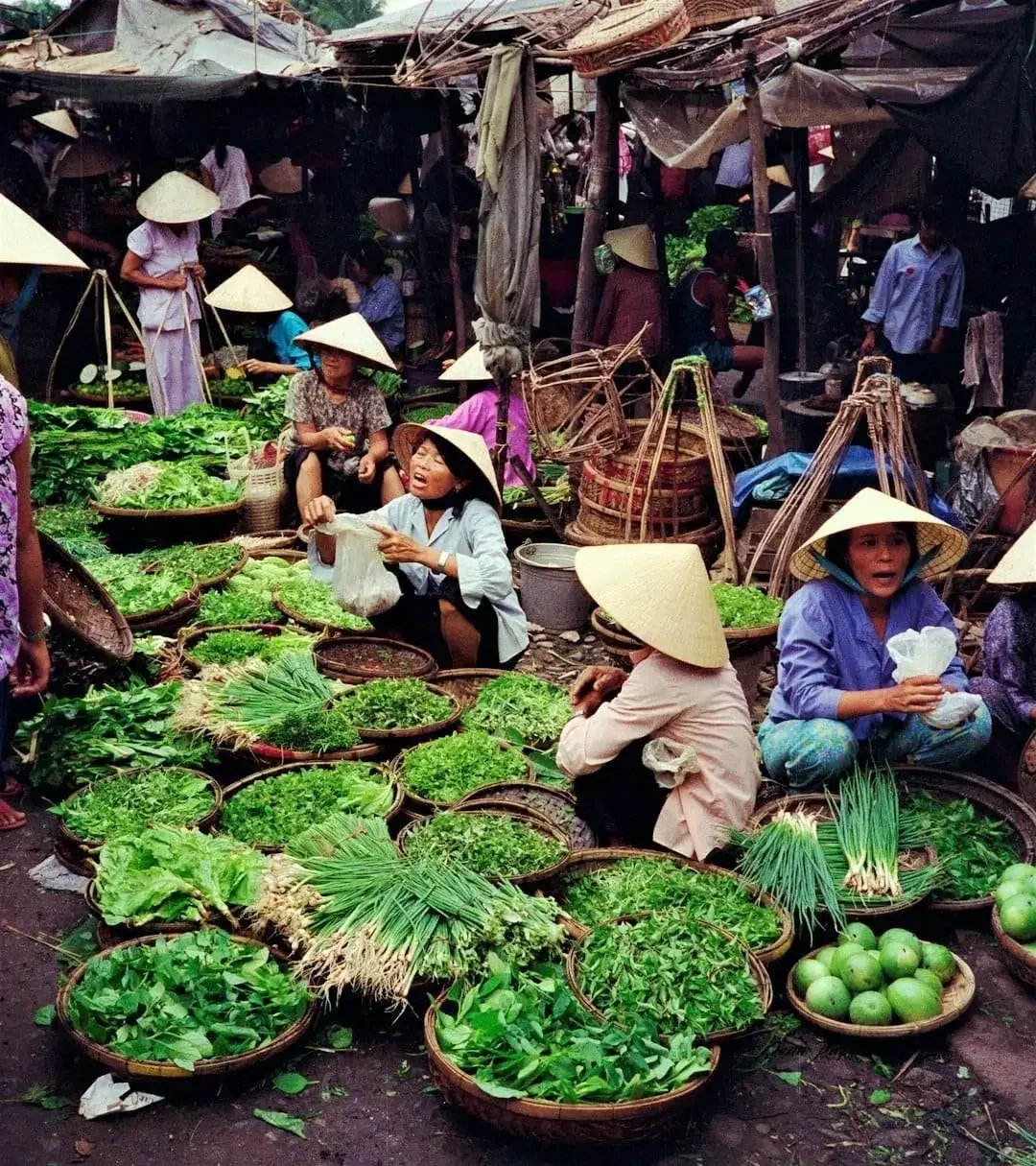 Vendors wearing traditional Asian conical hats selling fresh vegetables at an outdoor market.